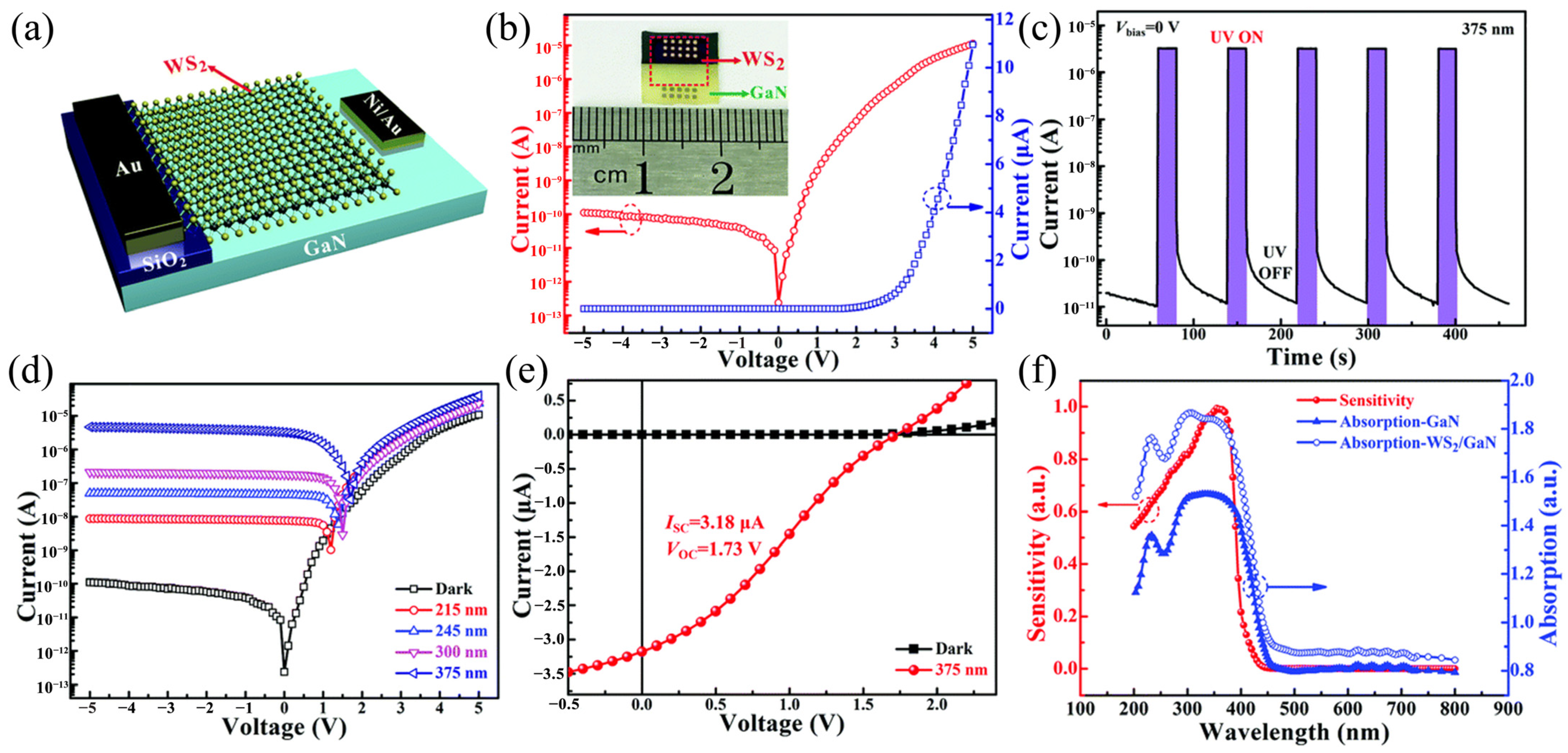 Molecules 29 03341 g015