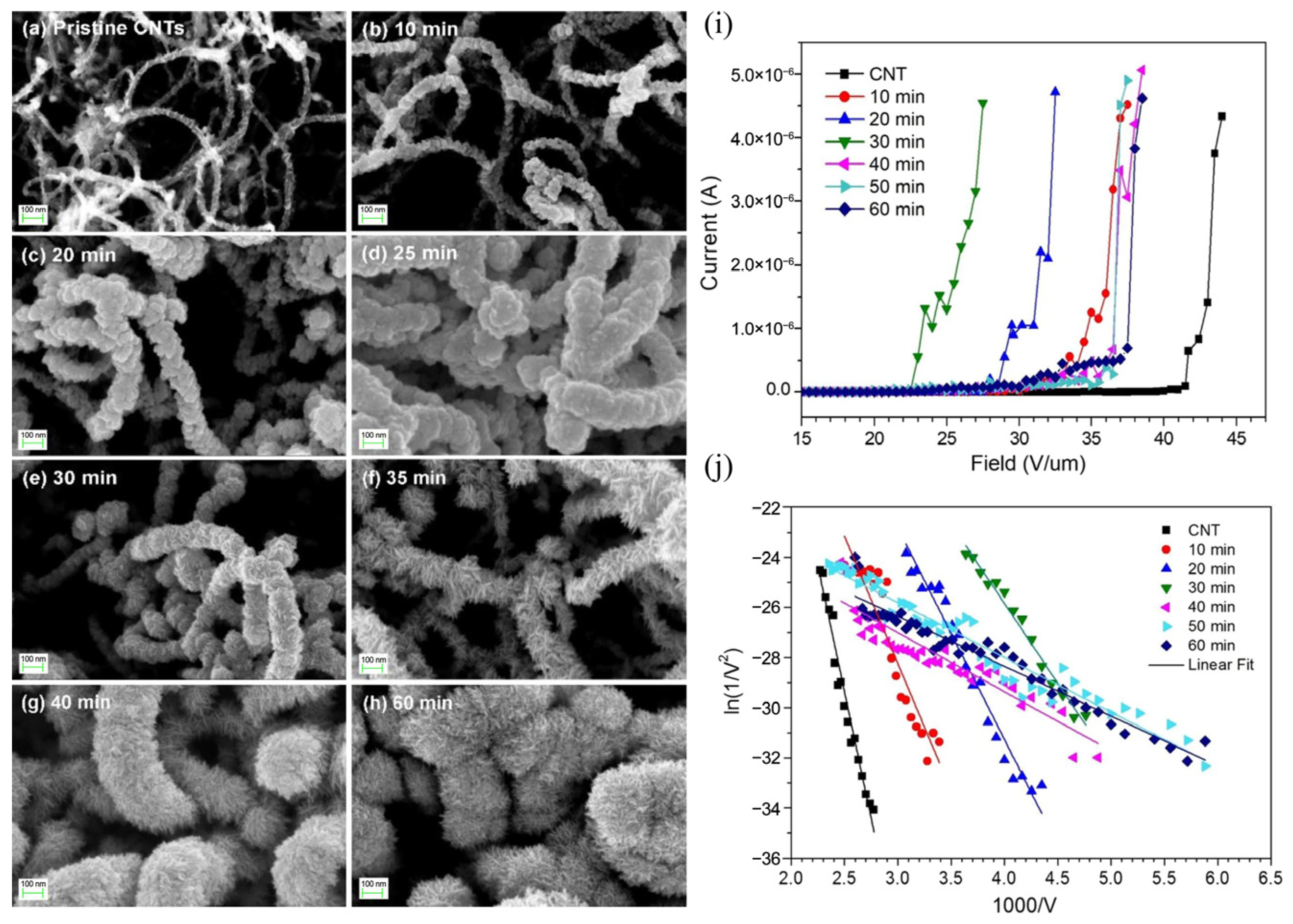 Molecules 29 03341 g017