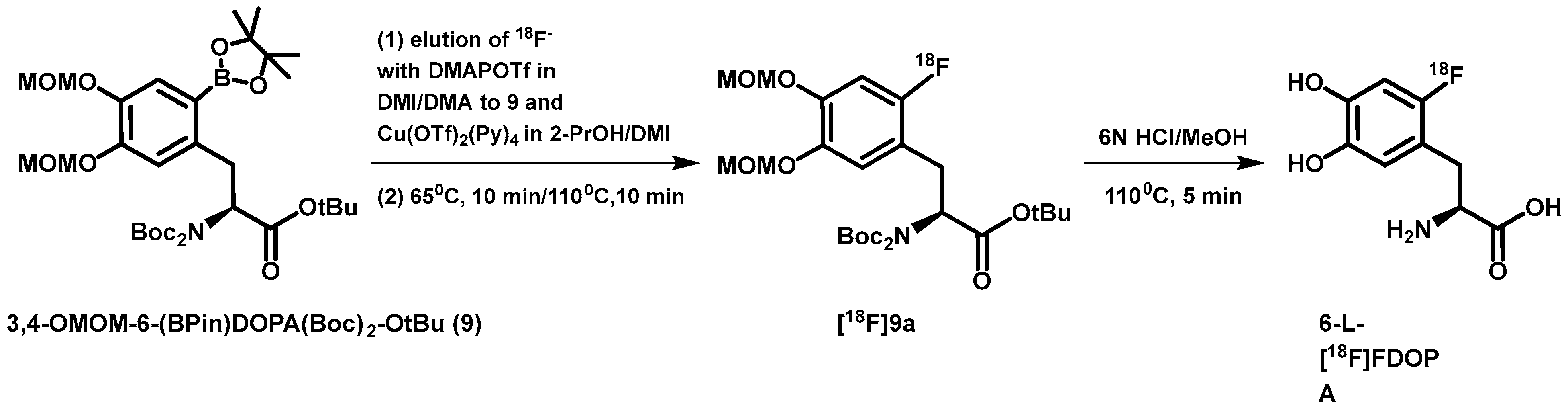 Molecules 29 03342 sch002