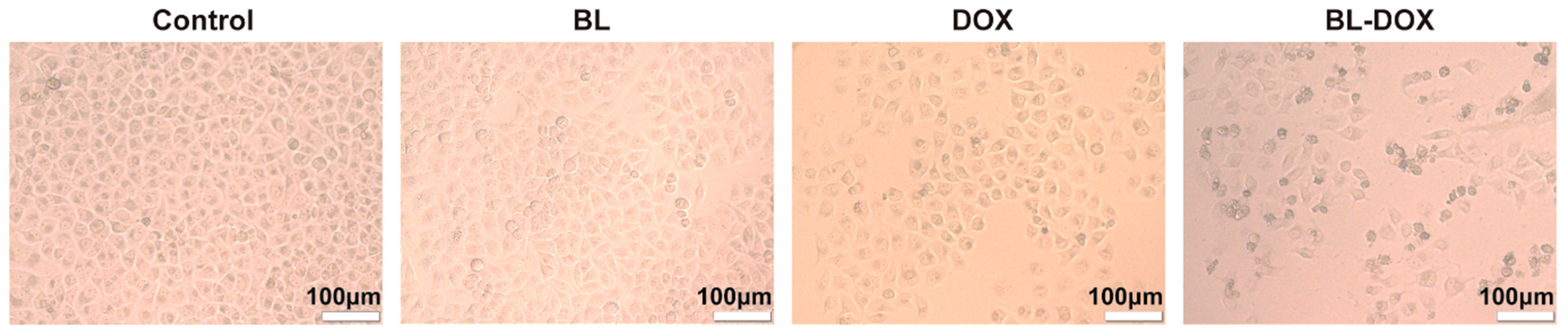 Molecules 29 03360 g002