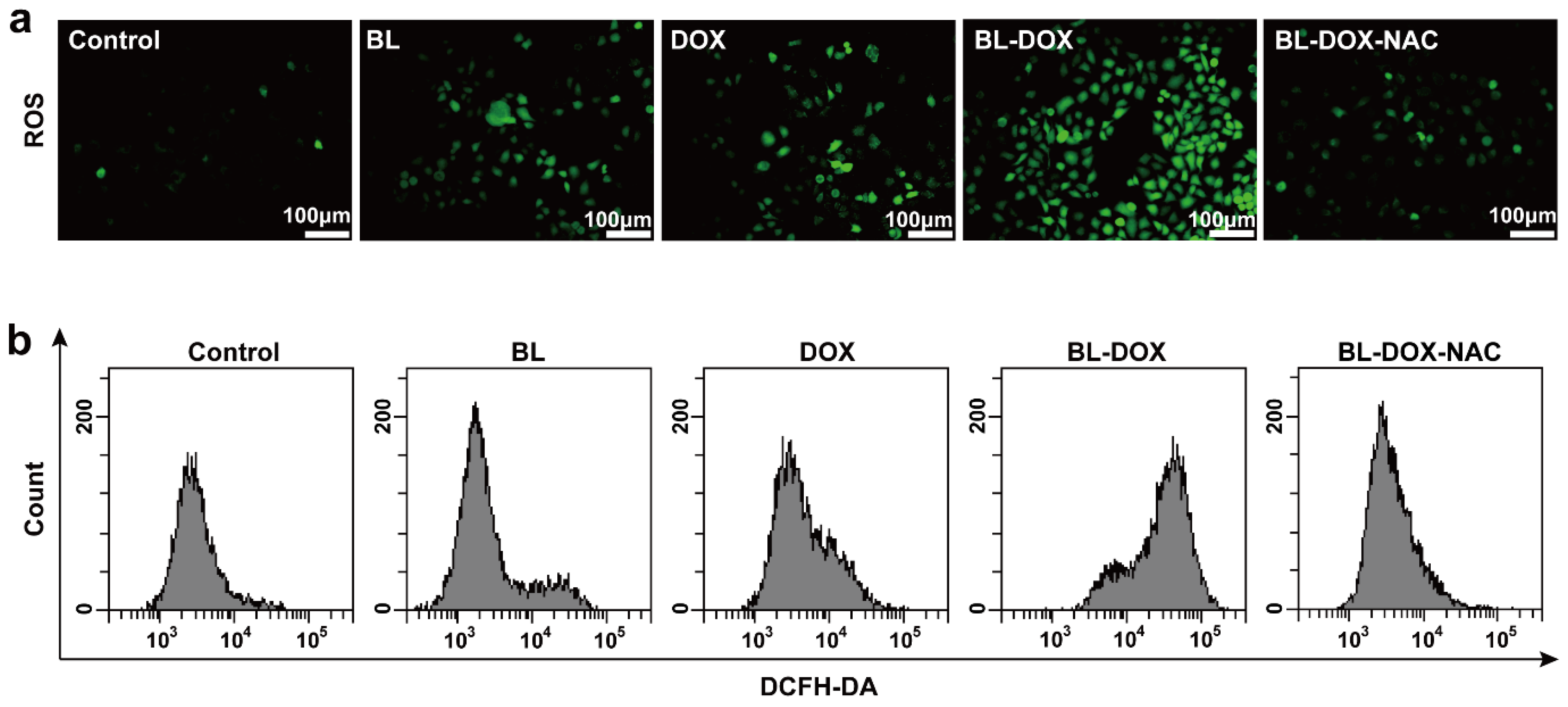 Molecules 29 03360 g003
