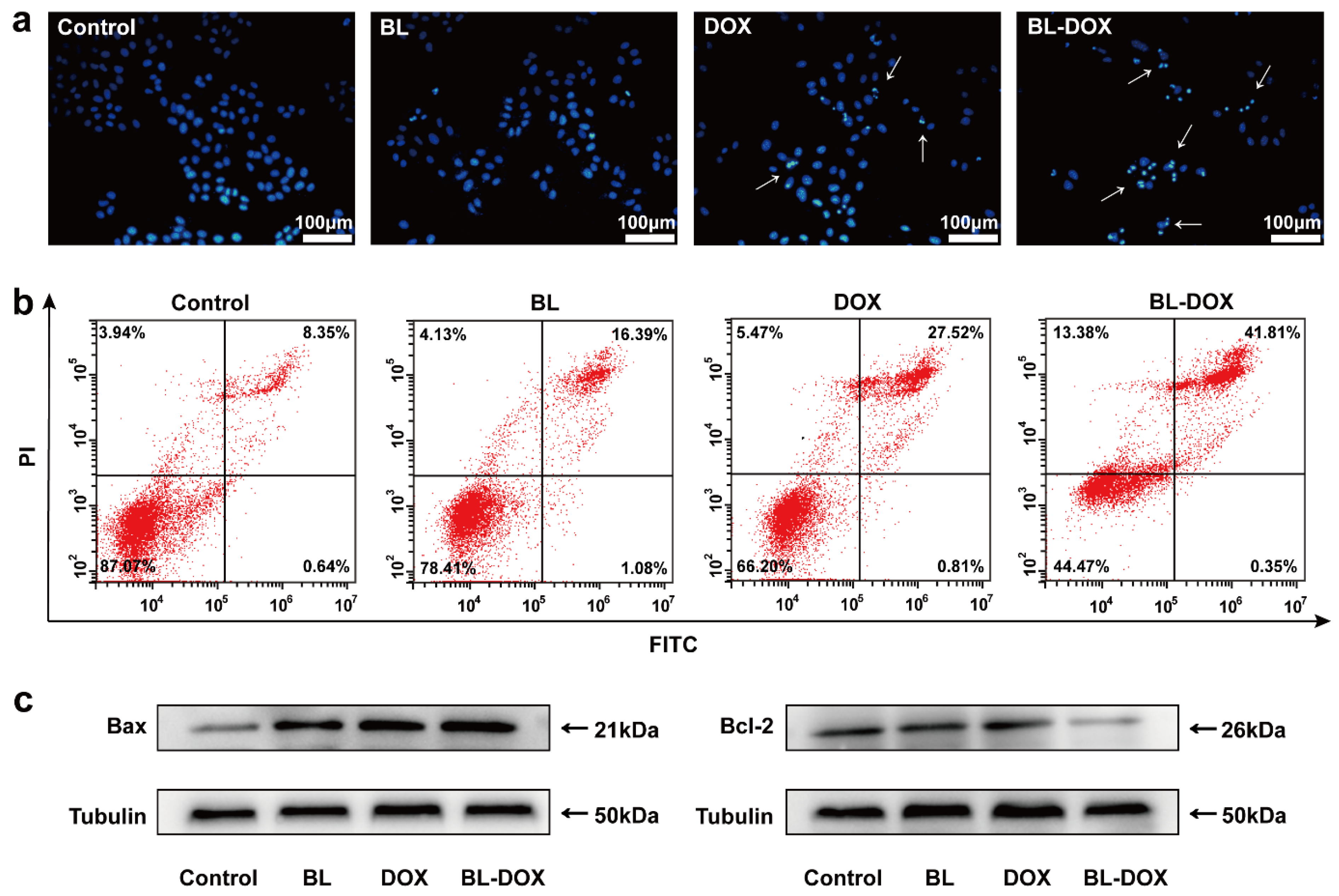 Molecules 29 03360 g004