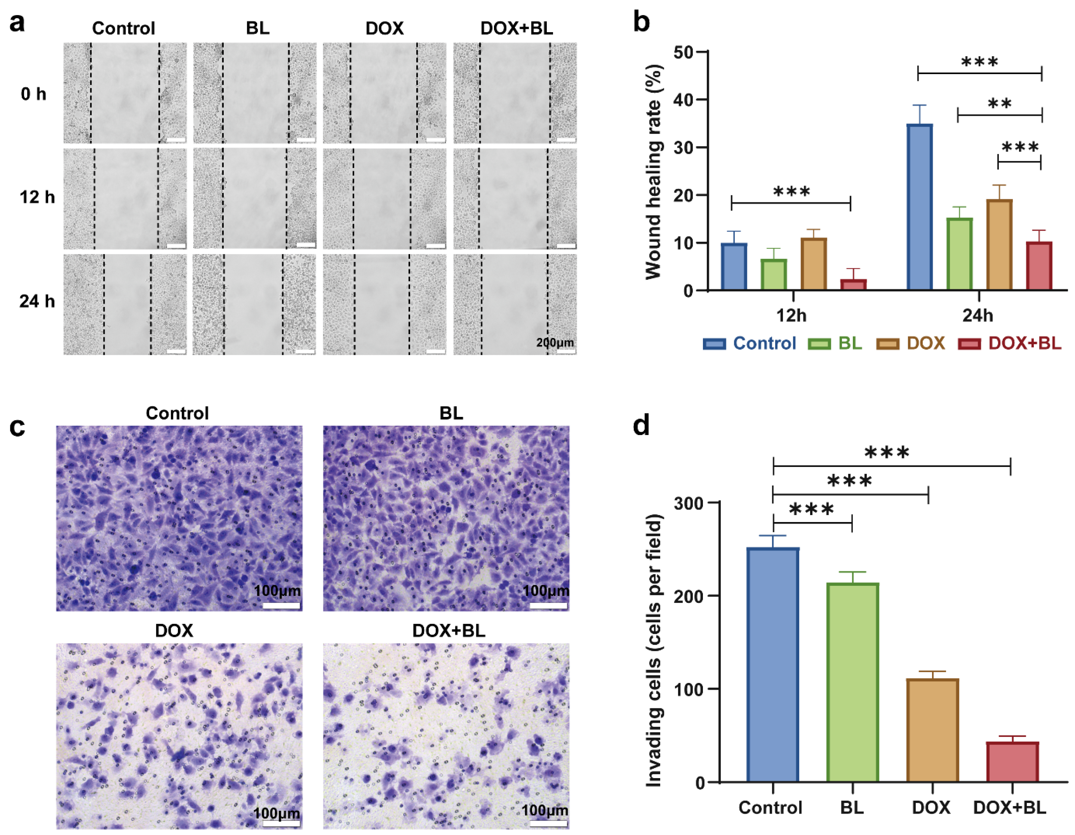 Molecules 29 03360 g006