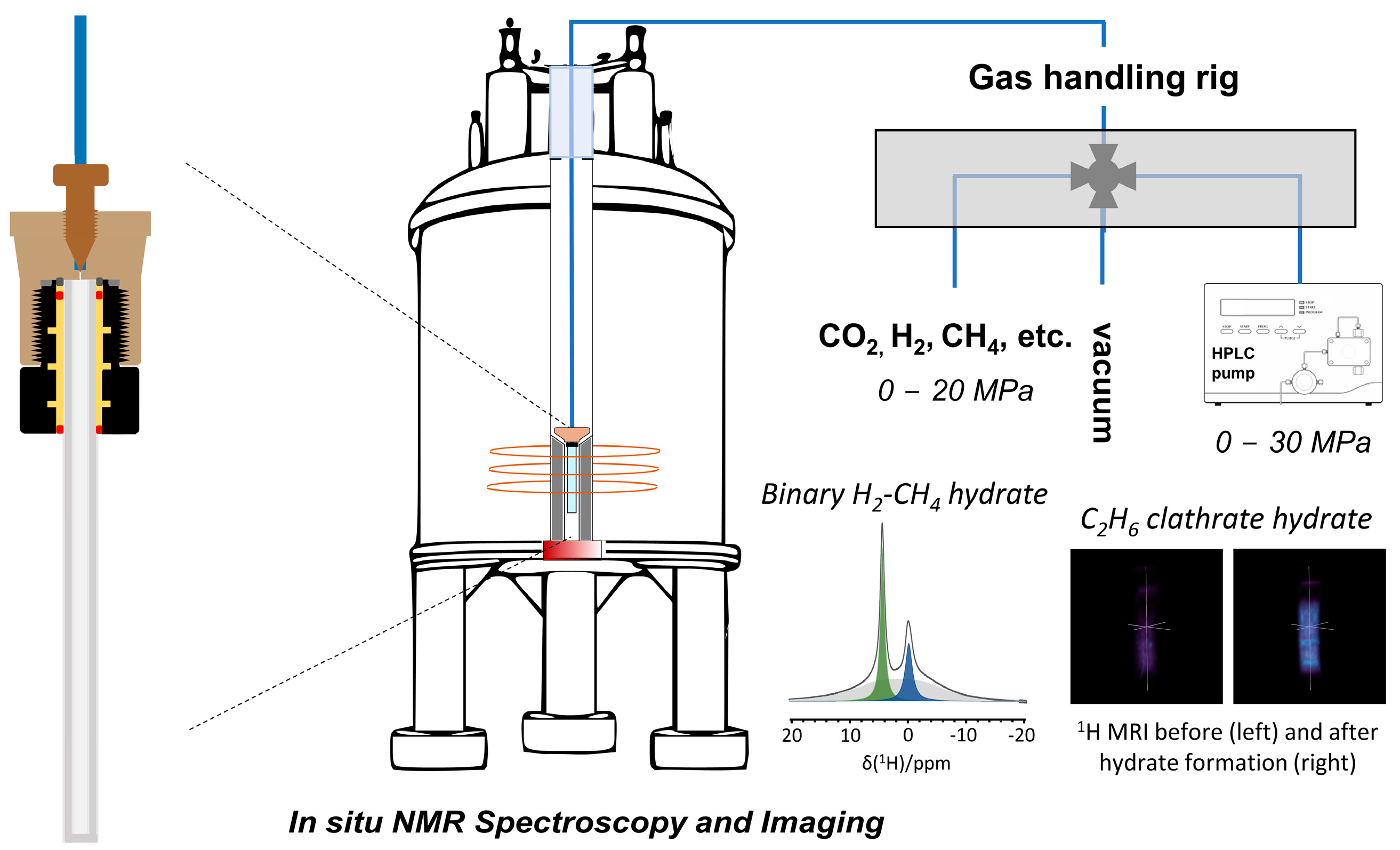 Molecules 29 03369 g001