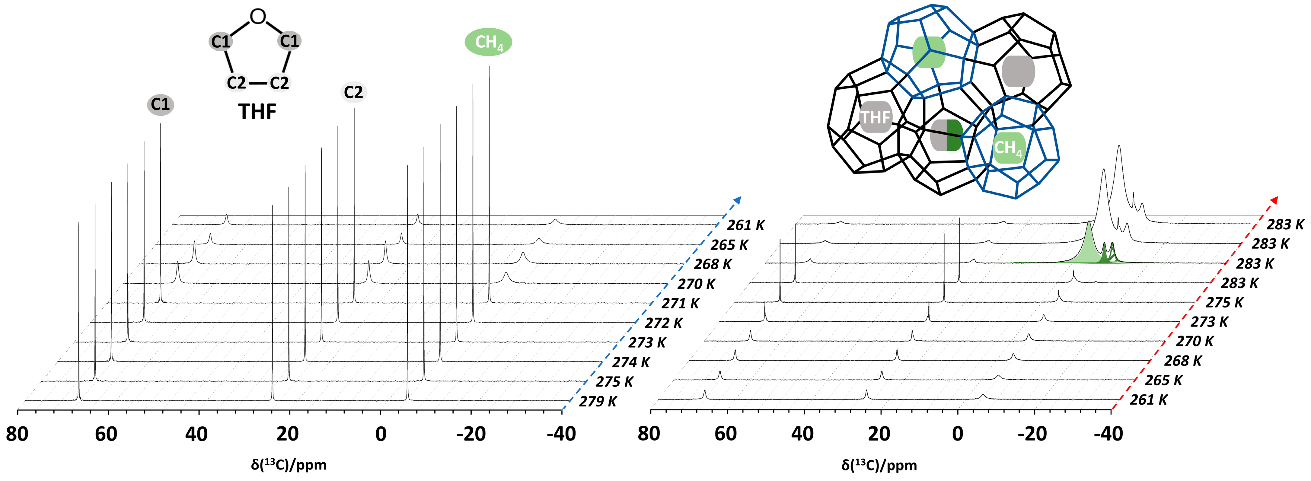 Molecules 29 03369 g005