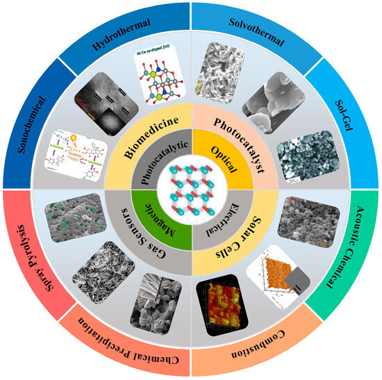 Molecules 29 03373 g001