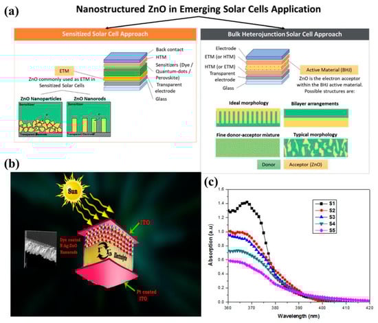 Molecules 29 03373 g009