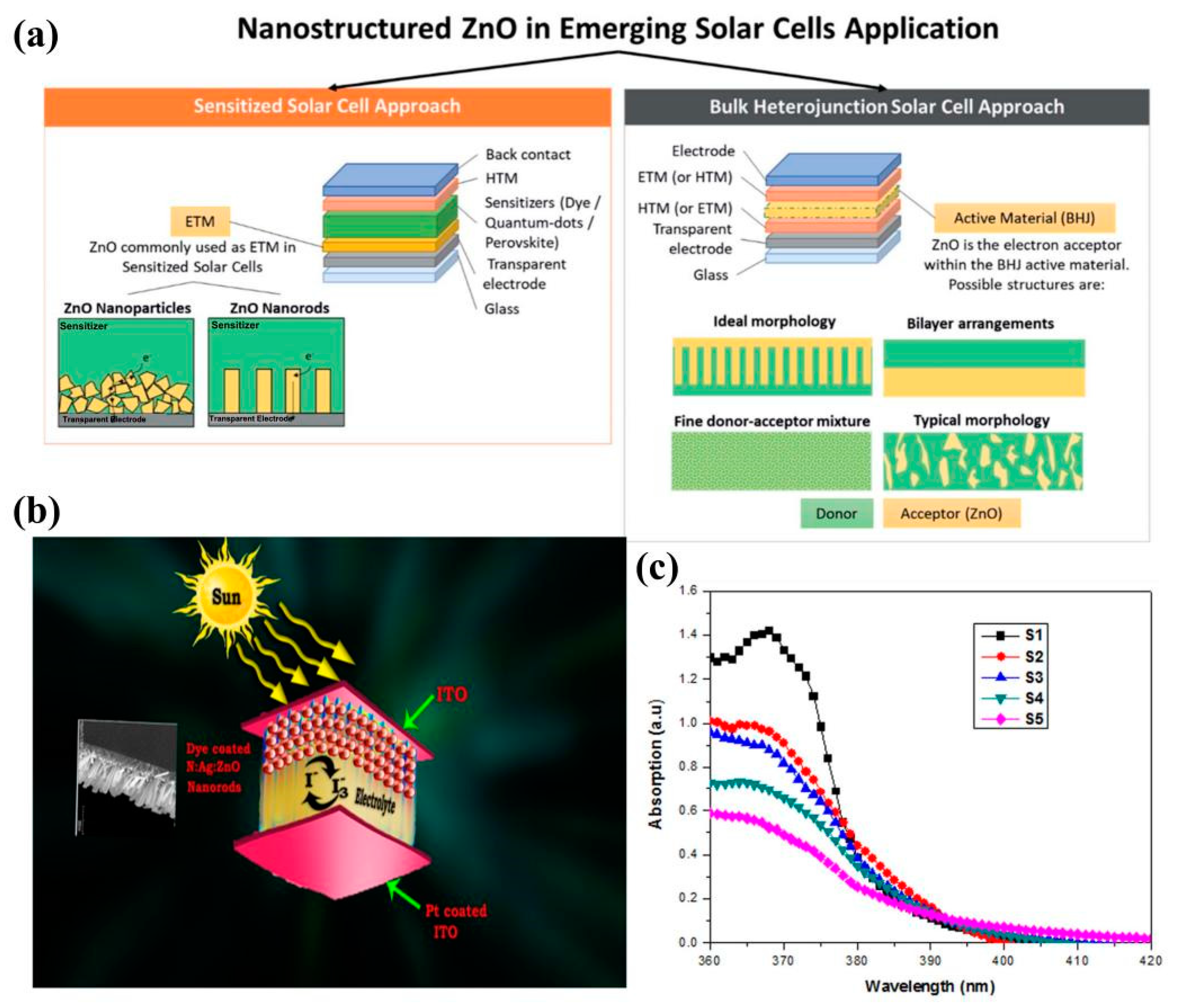 Molecules 29 03373 g009