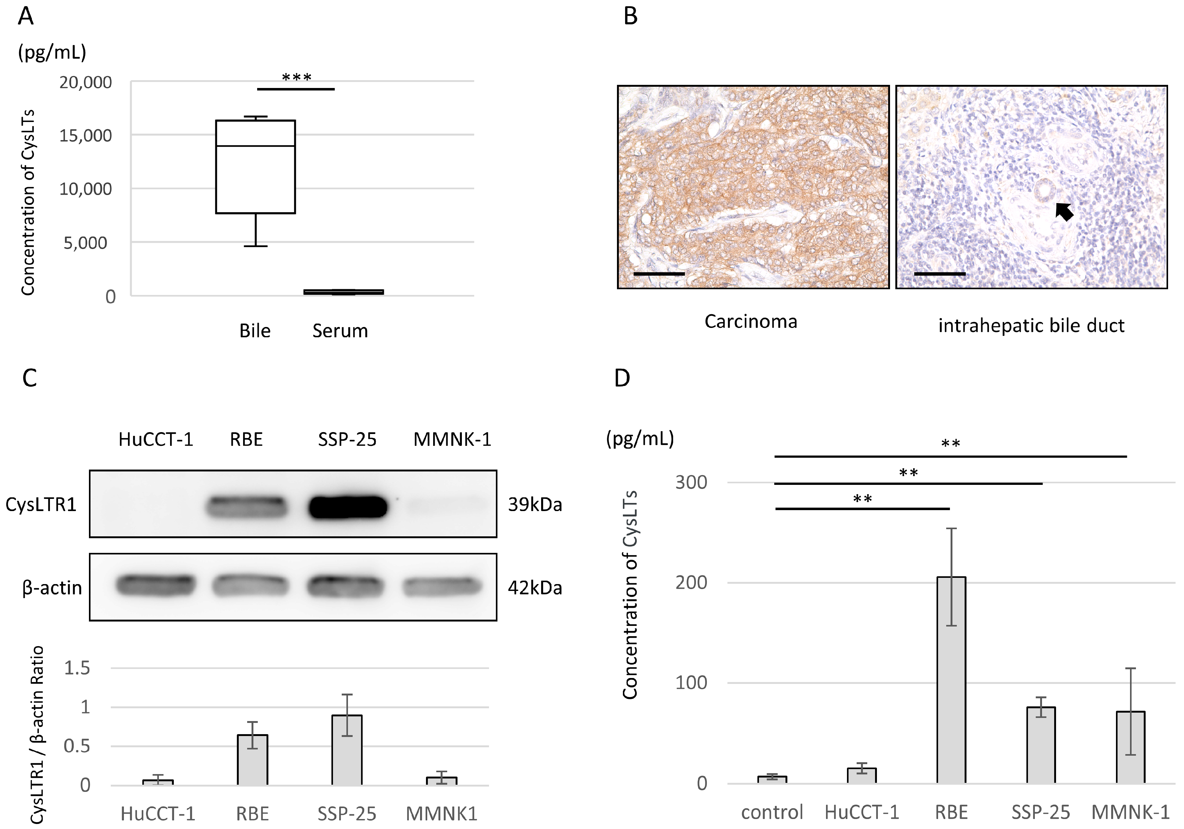 Molecules 29 03379 g001