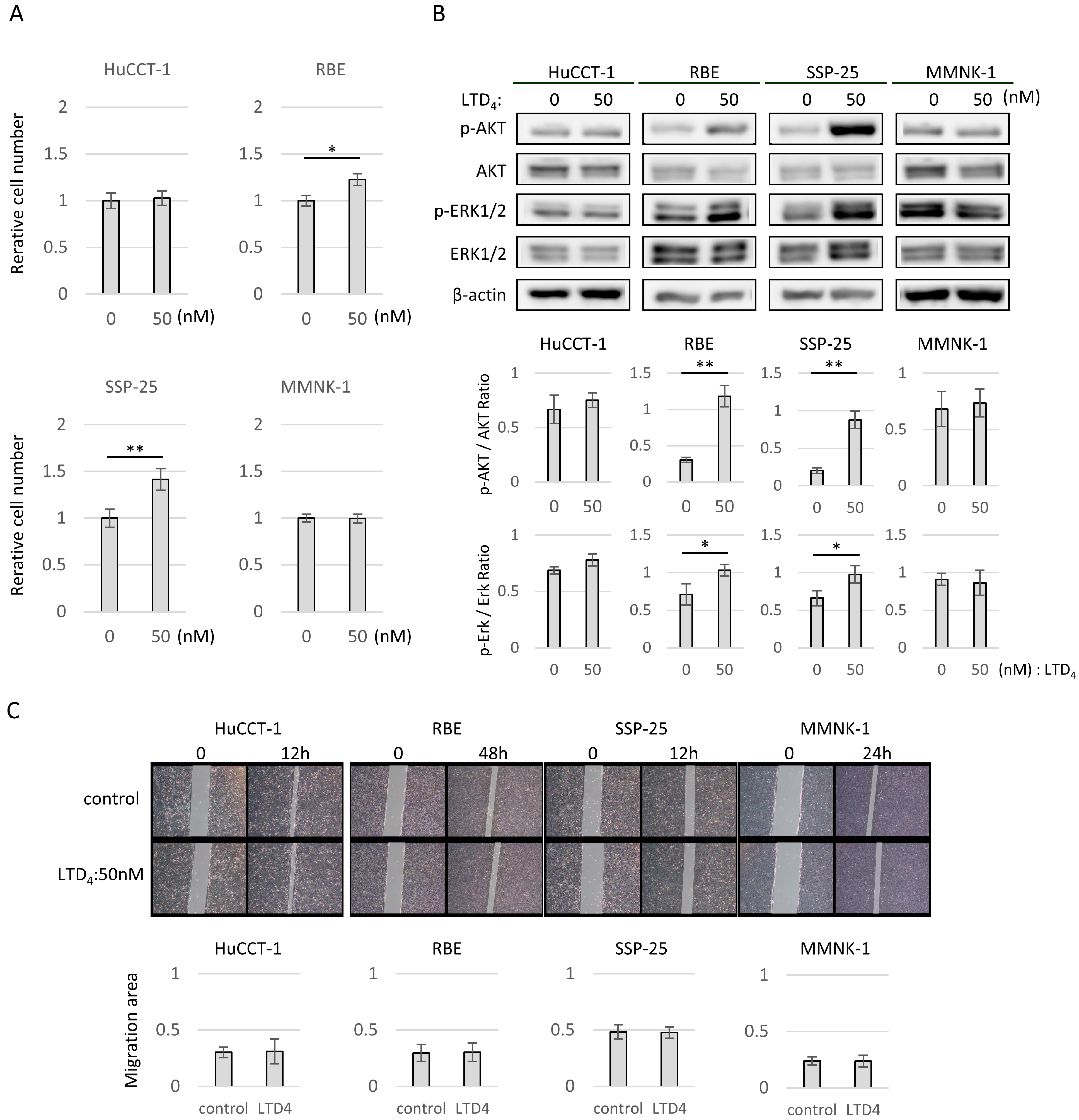 Molecules 29 03379 g002