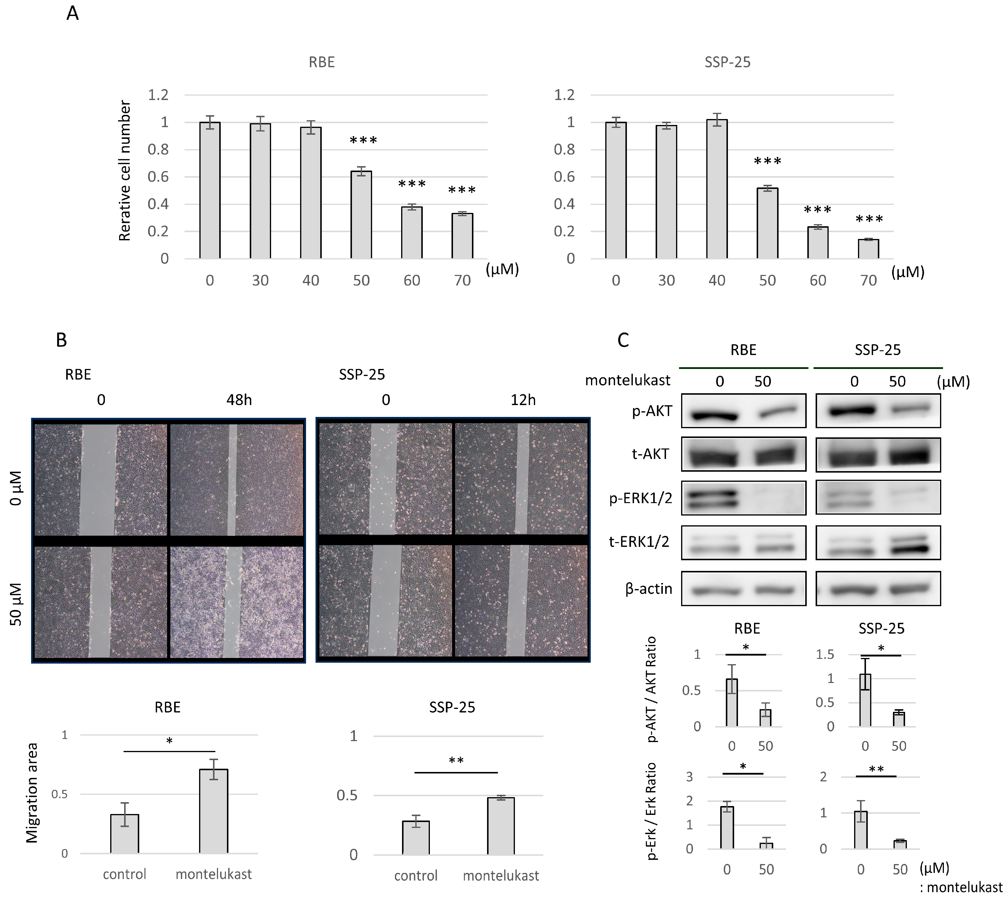 Molecules 29 03379 g004