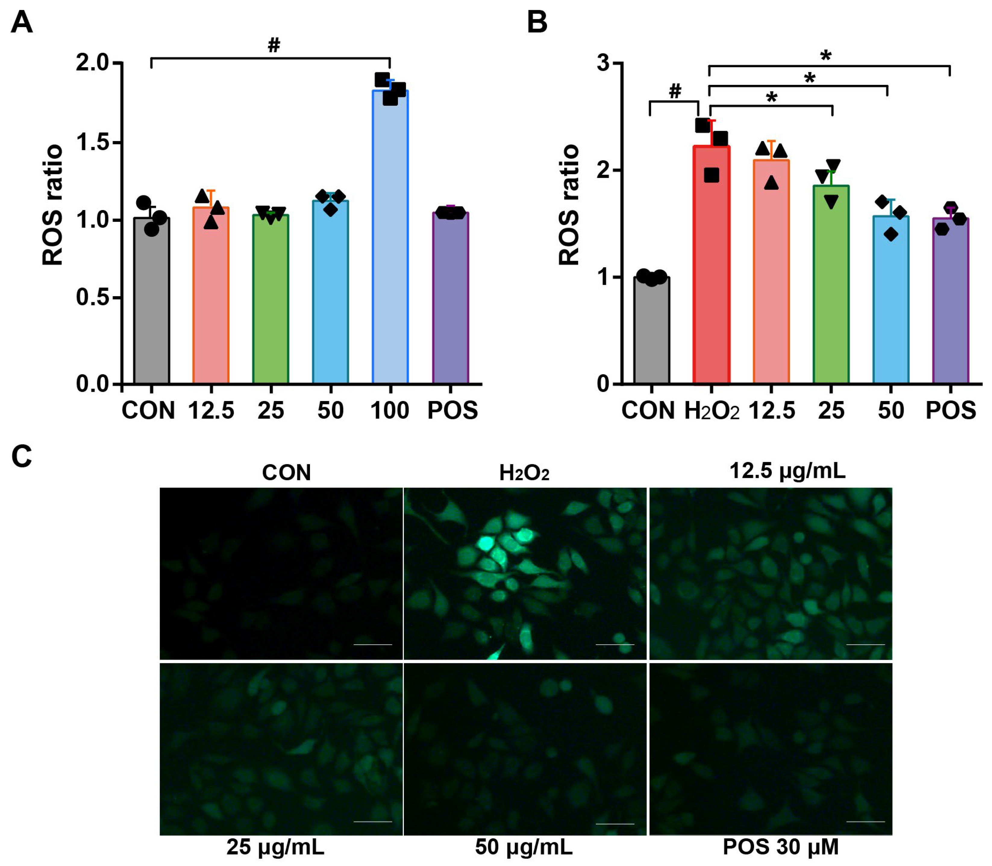 Molecules 29 03382 g002