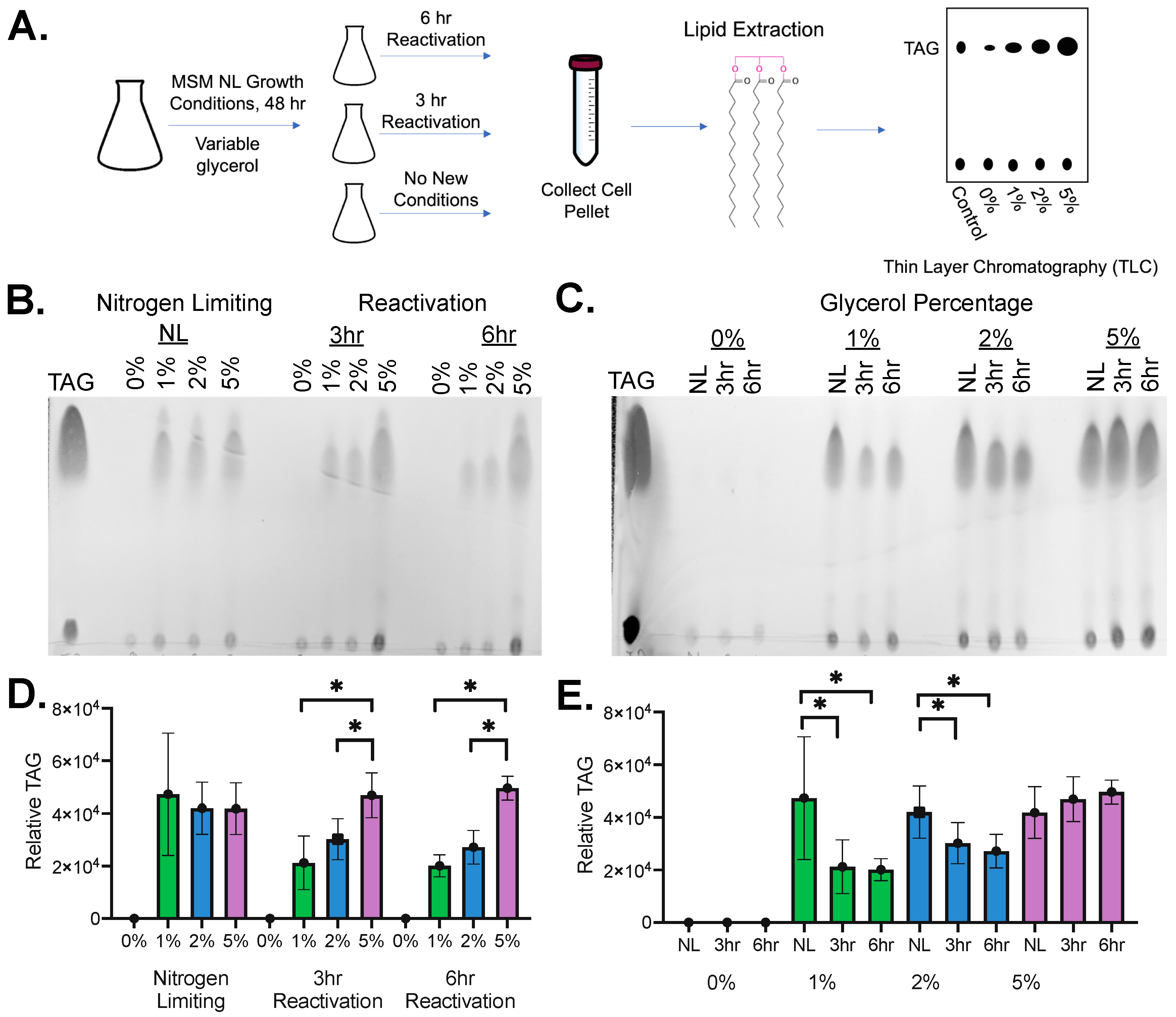 Molecules 29 03386 g001 Molecules 29 03386 g001