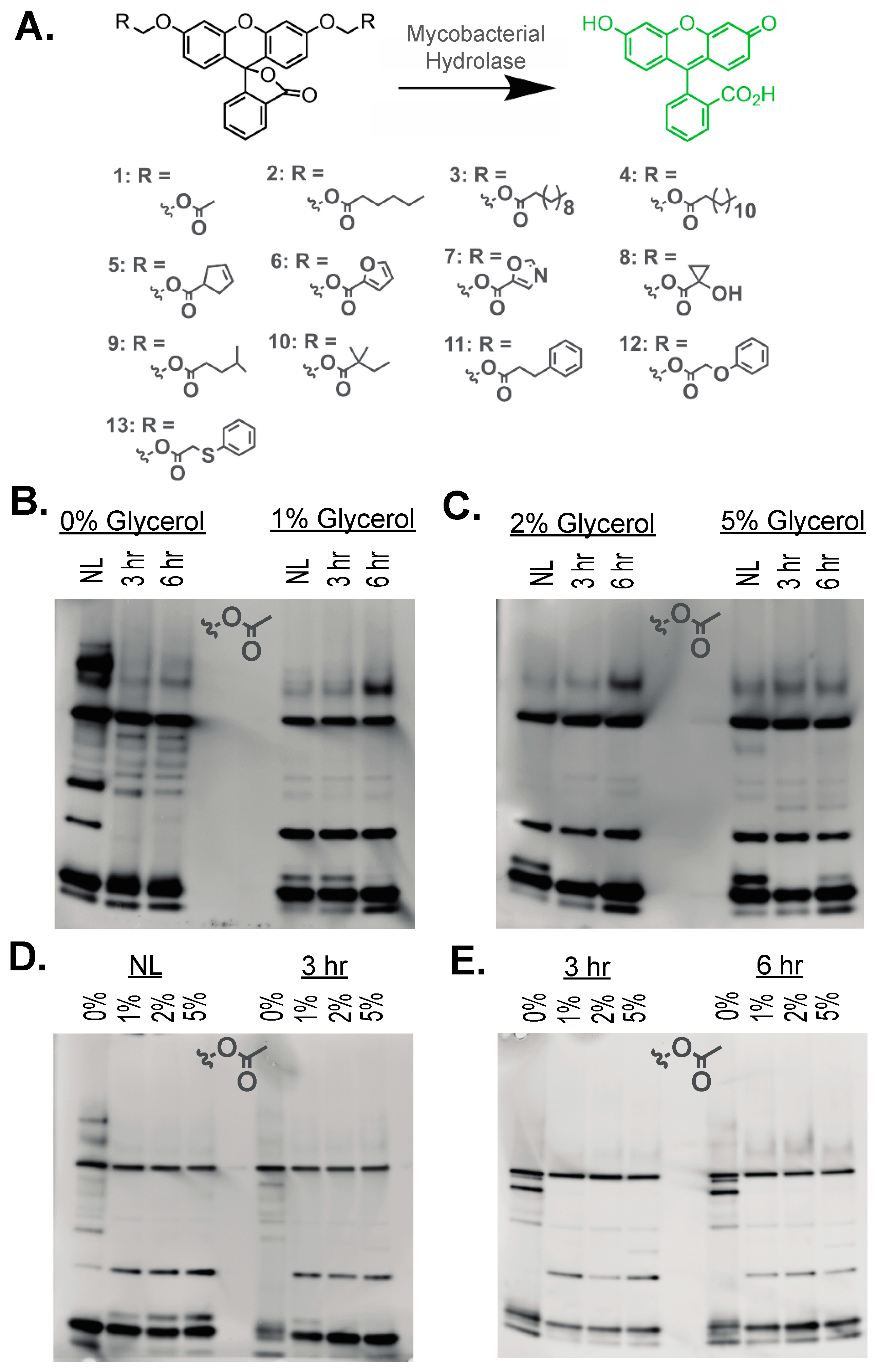 Molecules 29 03386 g002 Molecules 29 03386 g002