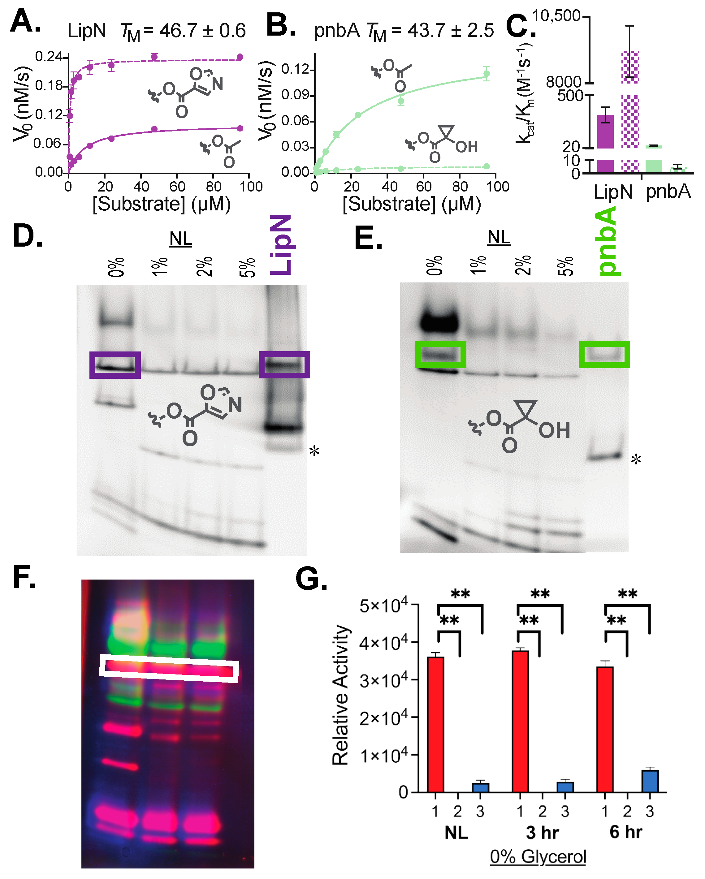 Molecules 29 03386 g006 Molecules 29 03386 g006