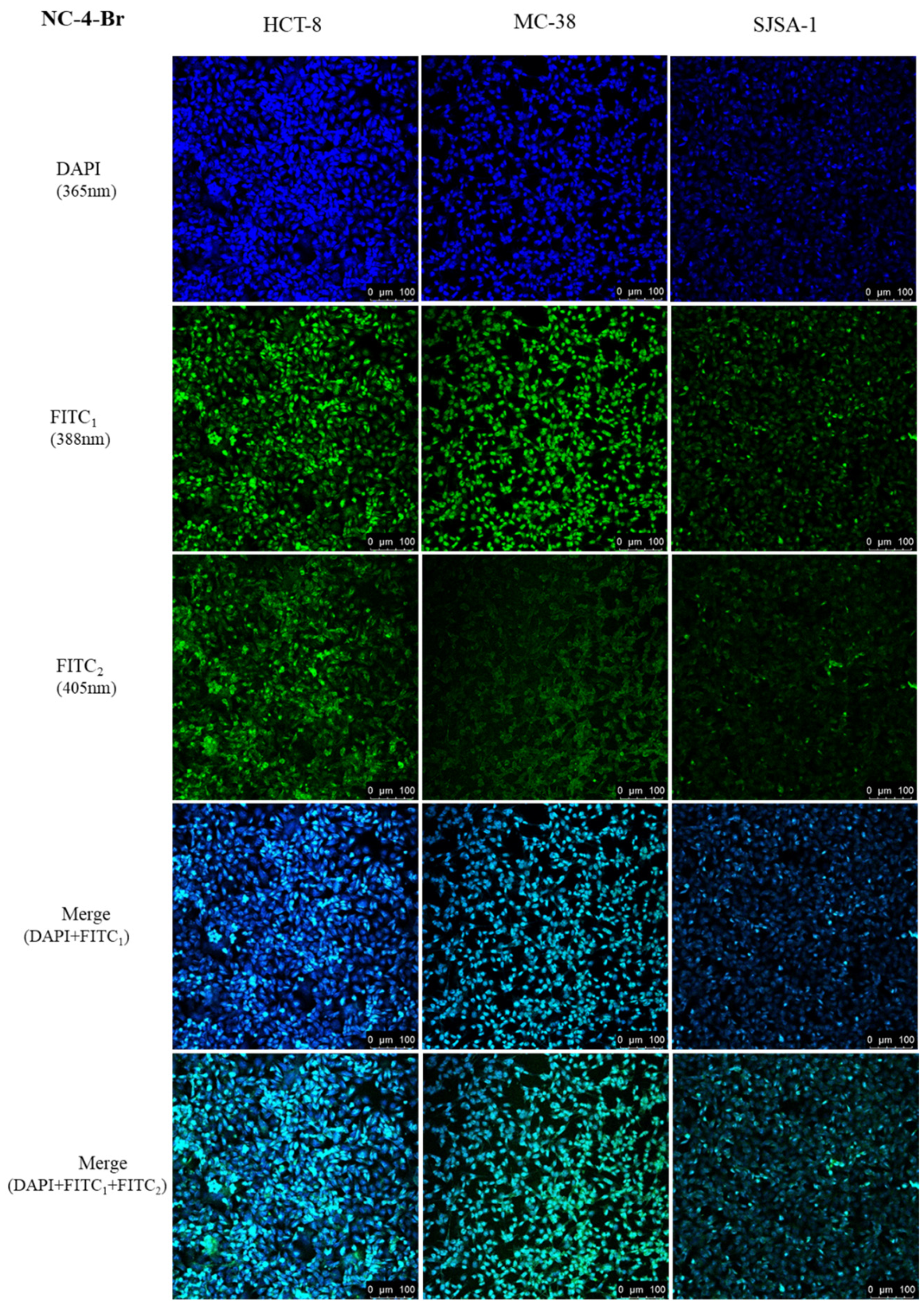 Molecules 29 03396 g008