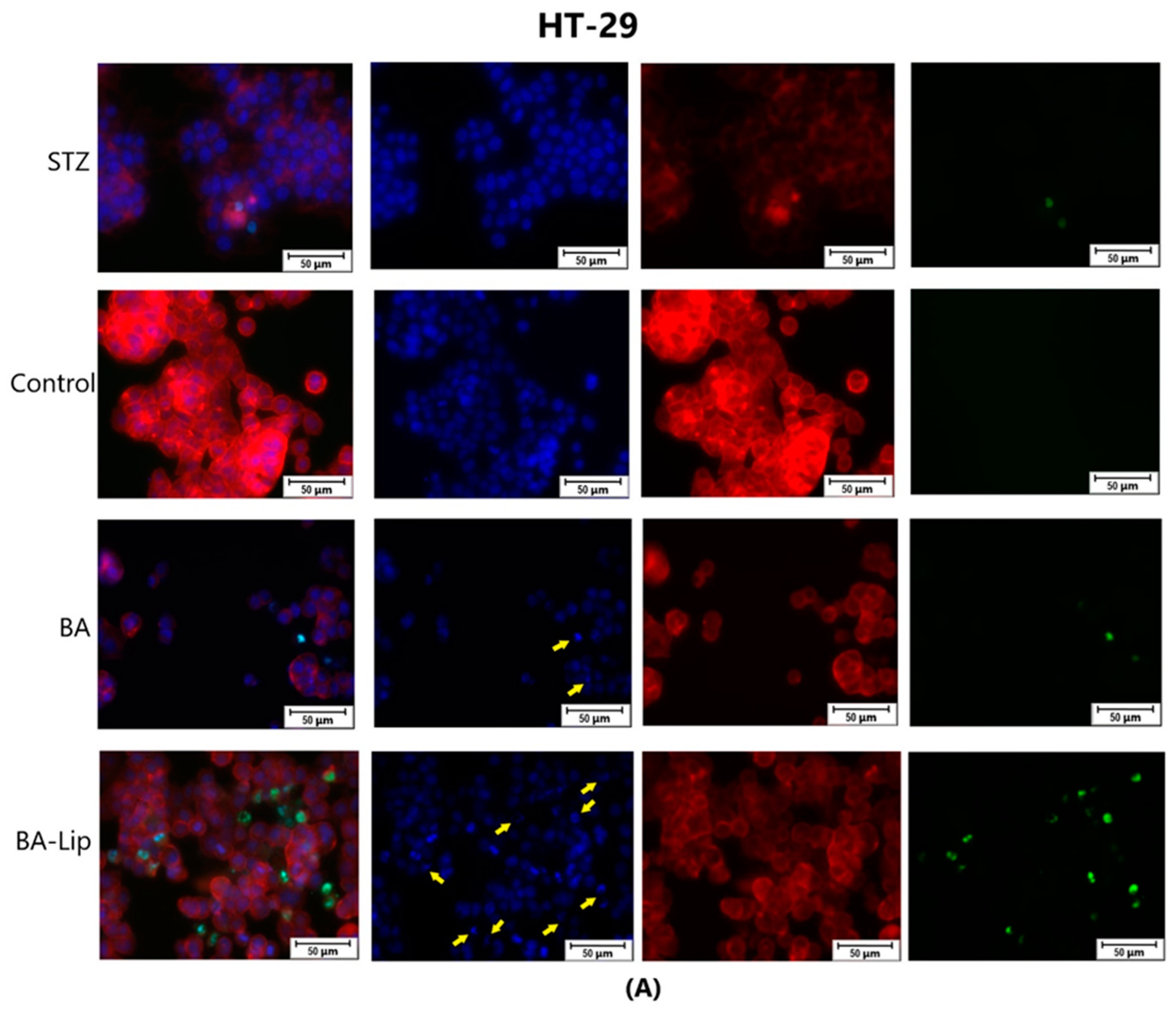 Molecules 29 03399 g009a