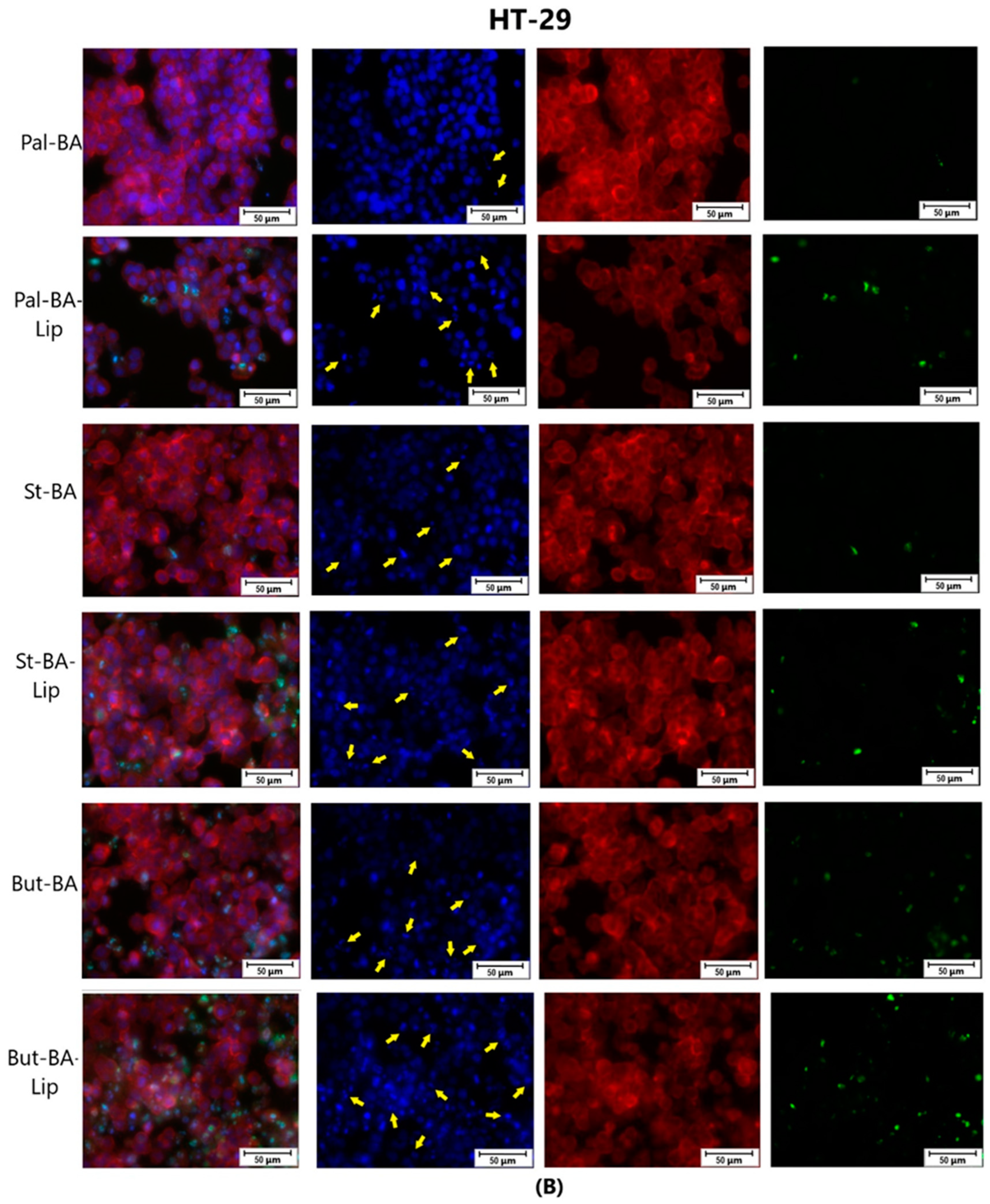 Molecules 29 03399 g009b