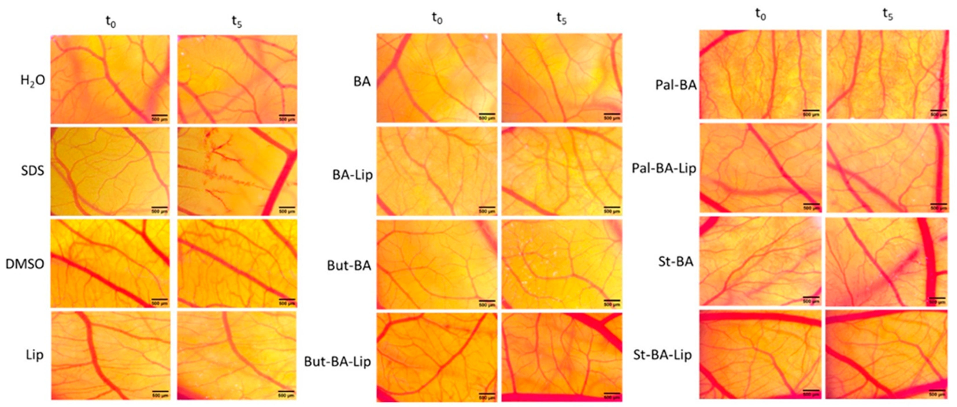 Molecules 29 03399 g011