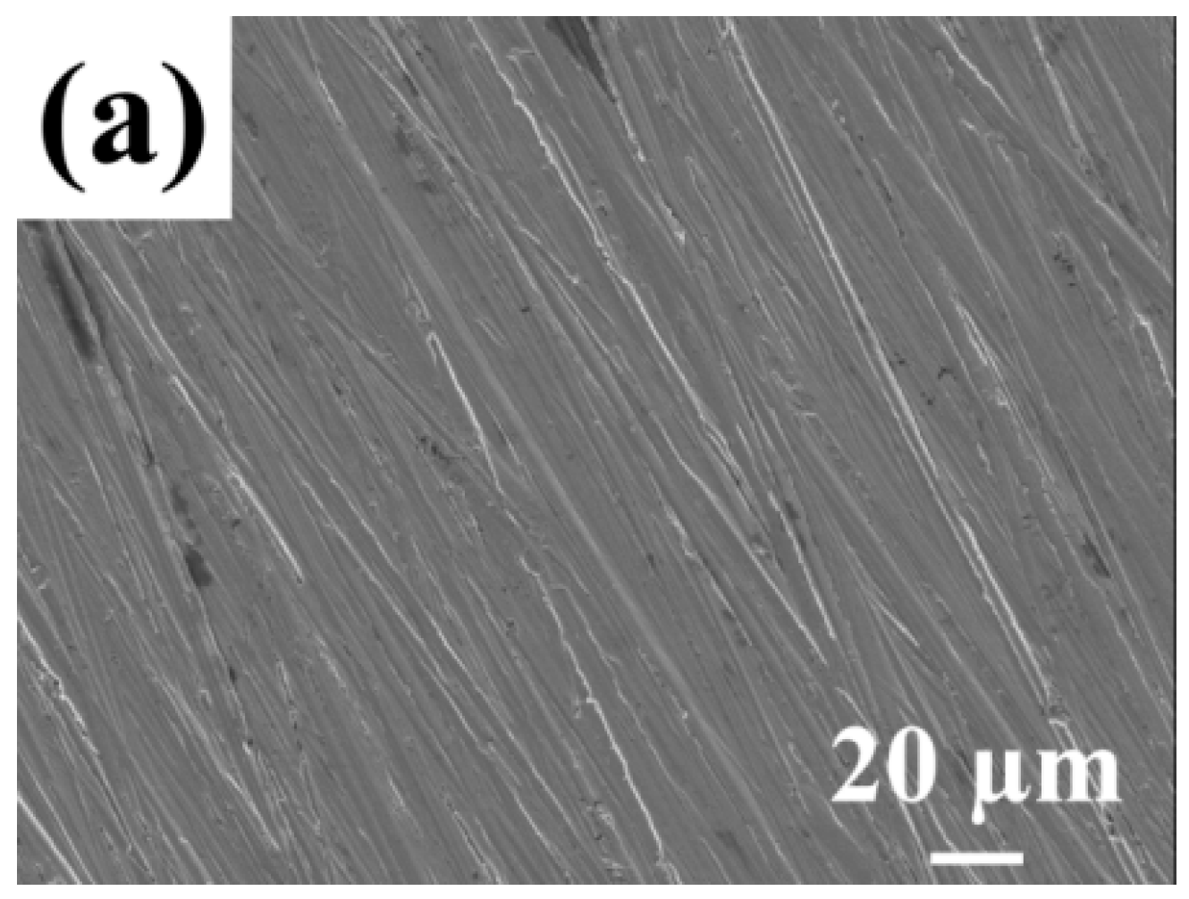 Molecules 29 03401 g006a