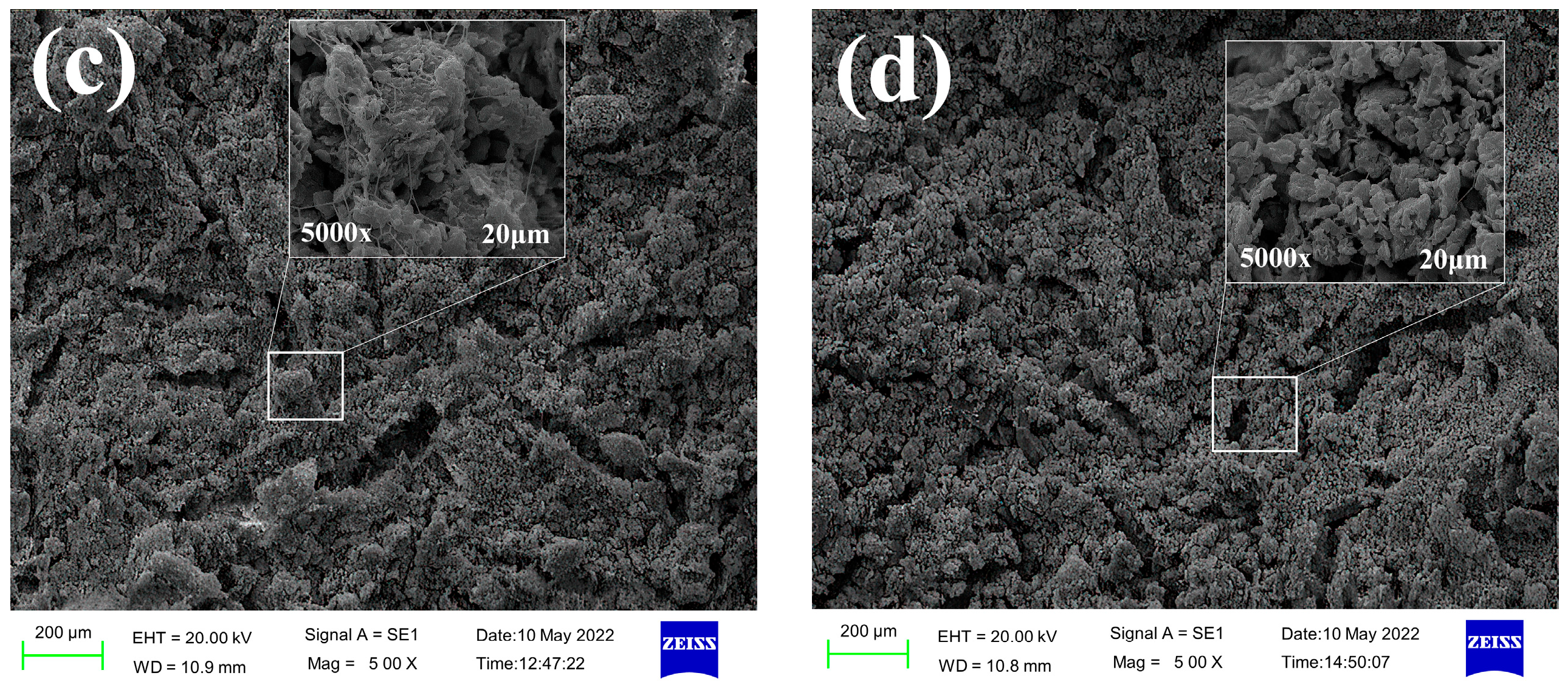 Molecules 29 03403 g012b