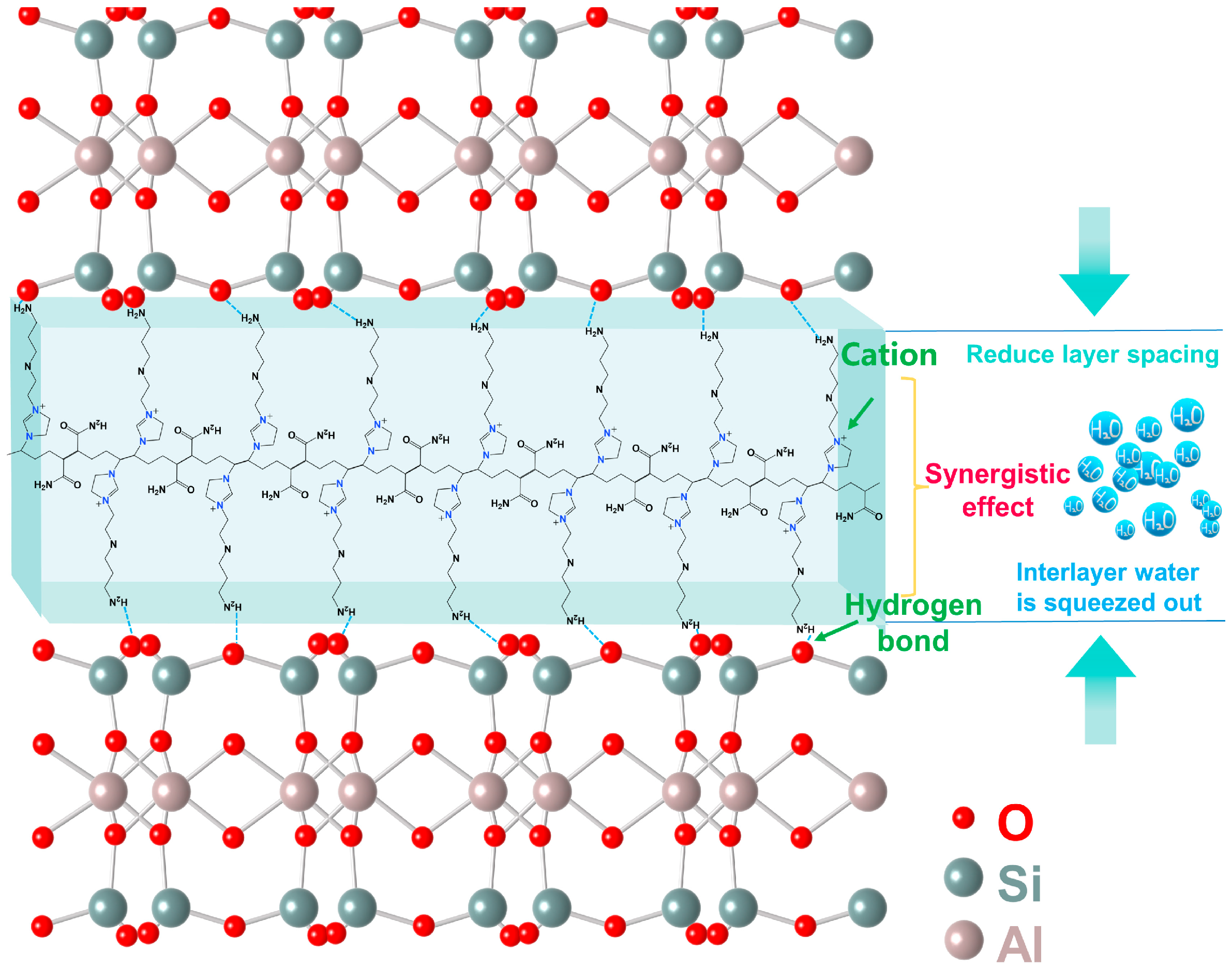 Molecules 29 03403 g013