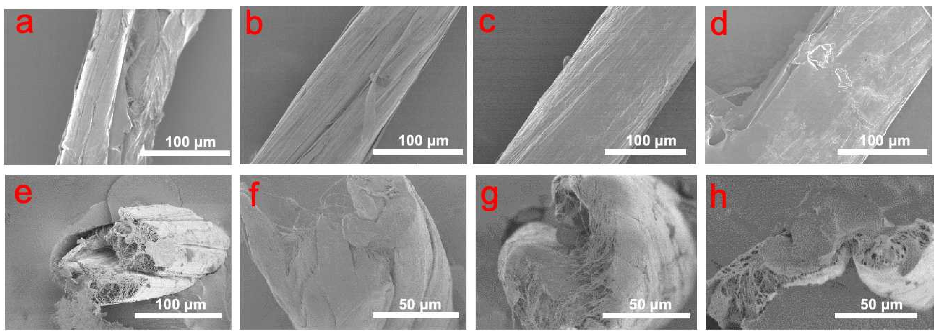 Molecules 29 03404 g002 Molecules 29 03404 g002