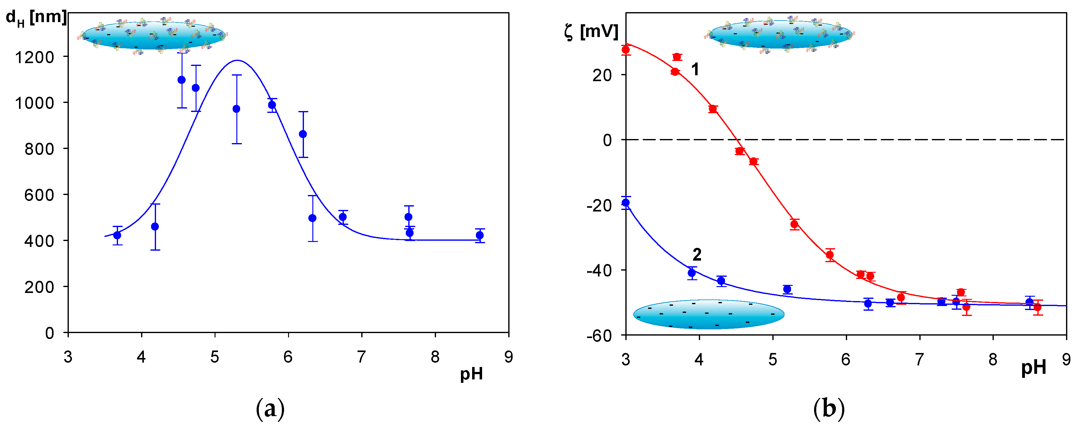 Molecules 29 03405 g005