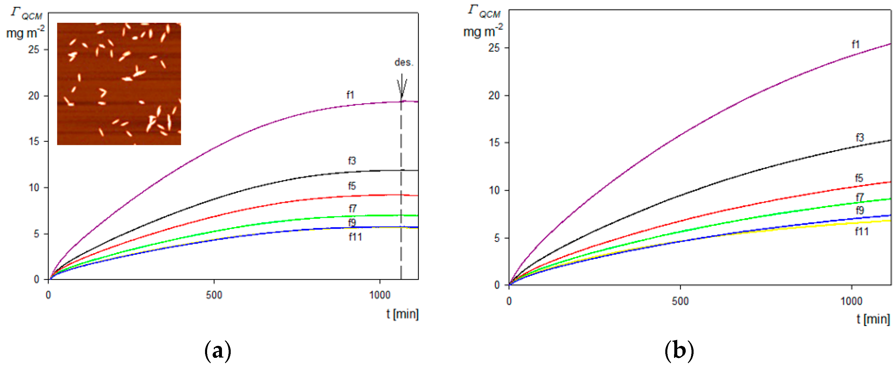 Molecules 29 03405 g007