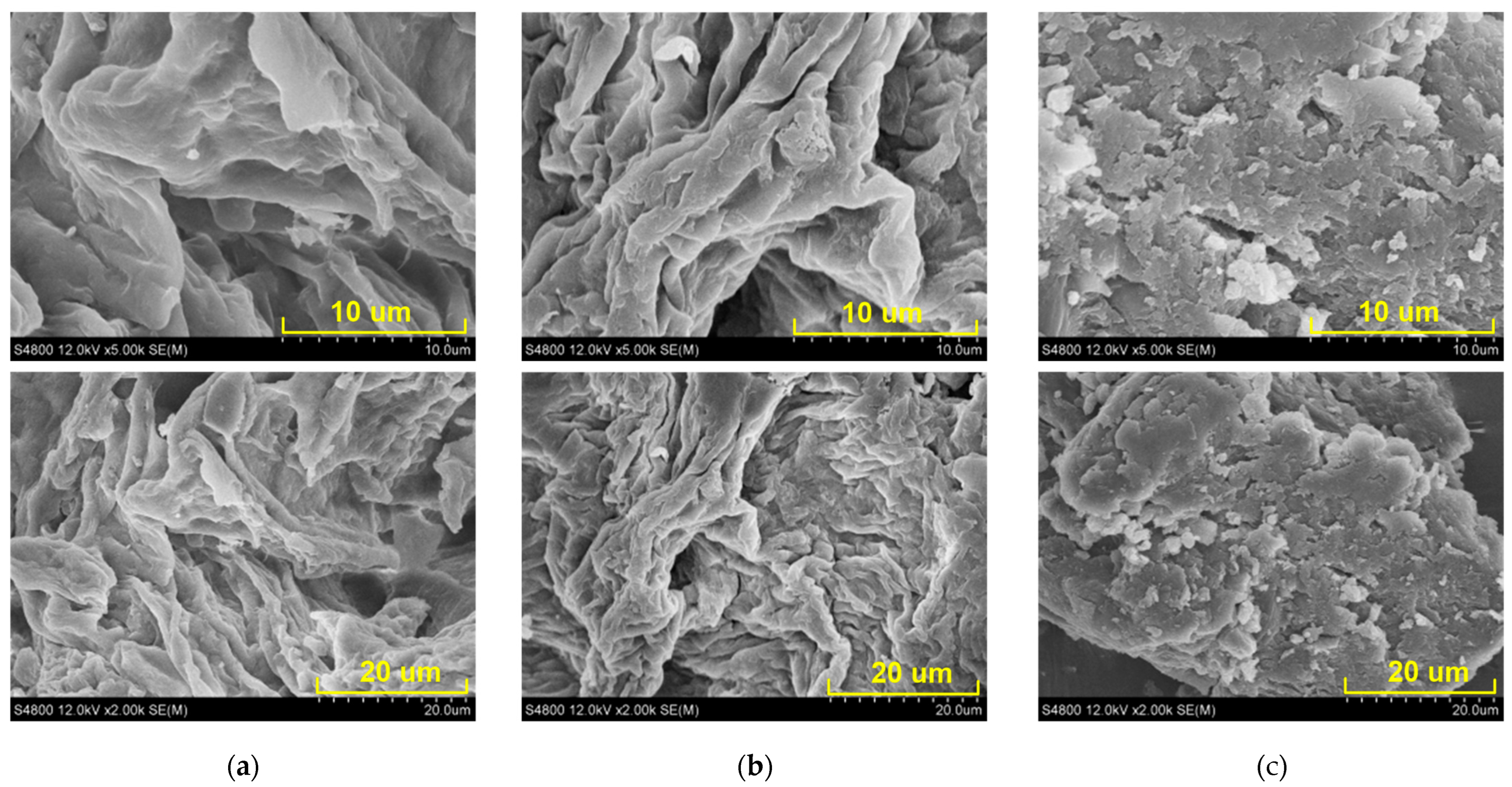 Molecules 29 03415 g004 Molecules 29 03415 g004