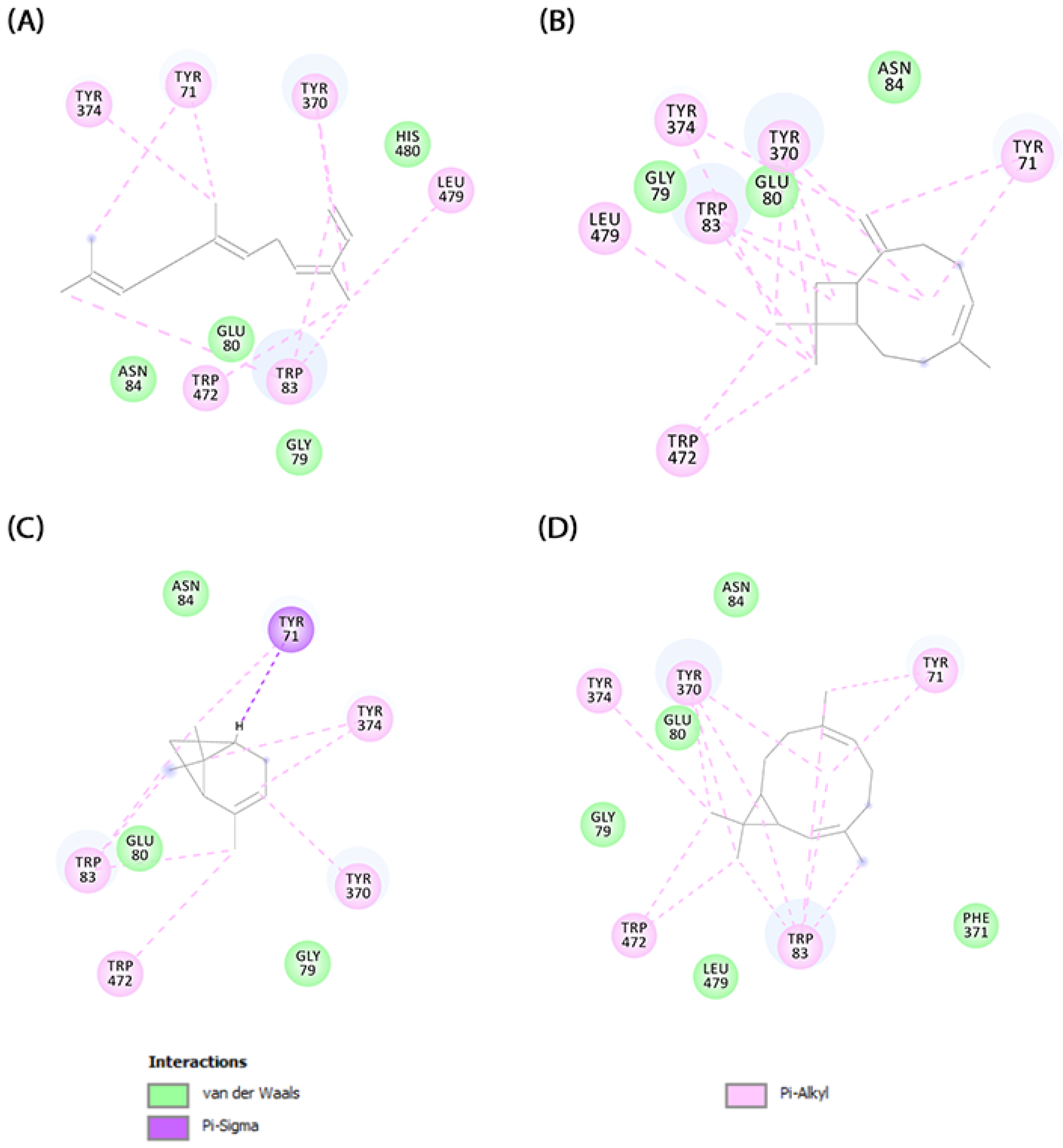 Molecules 29 03431 g005 Molecules 29 03431 g005