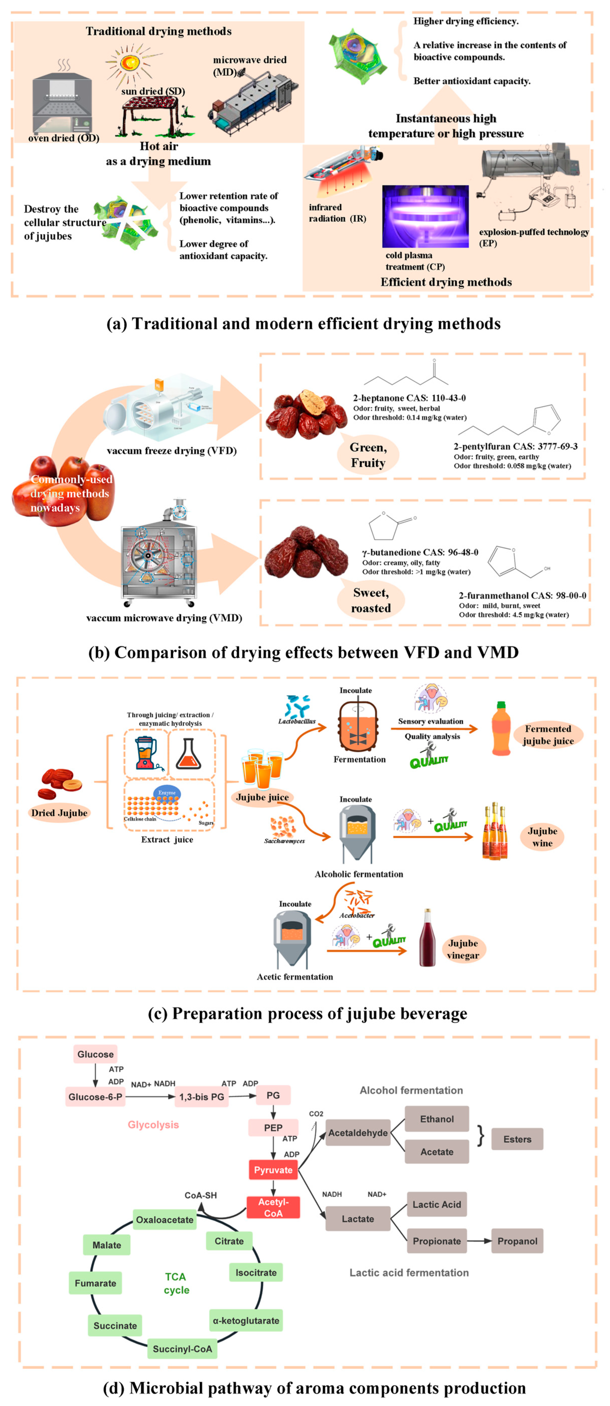 Molecules 29 03437 g002