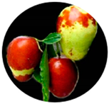 Molecules 29 03437 i002