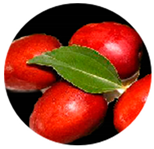 Molecules 29 03437 i003