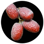 Molecules 29 03437 i005