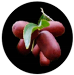 Molecules 29 03437 i006