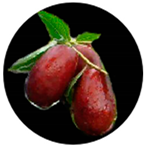 Molecules 29 03437 i010