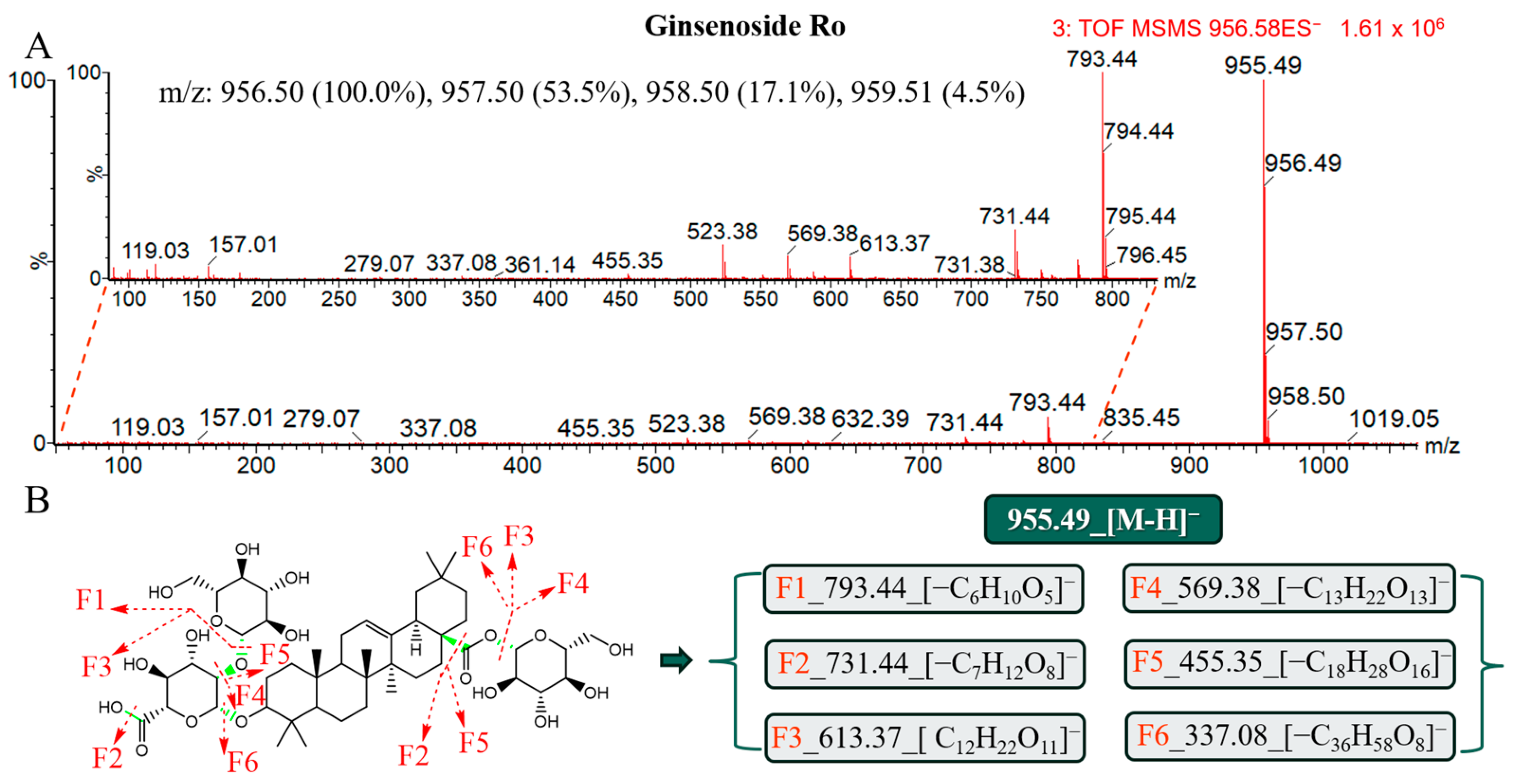 Molecules 29 03443 g005