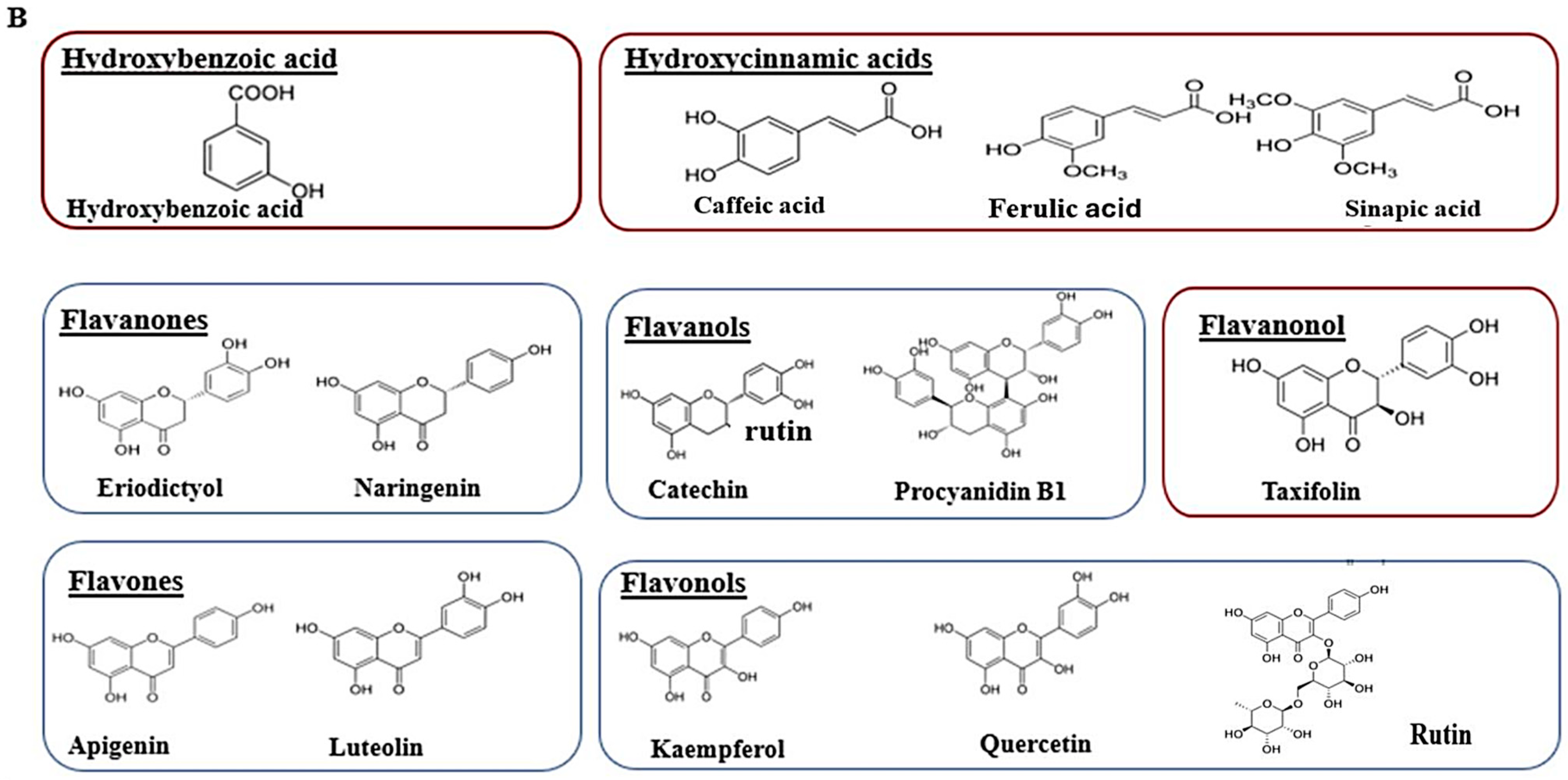 Molecules 29 03445 g002b