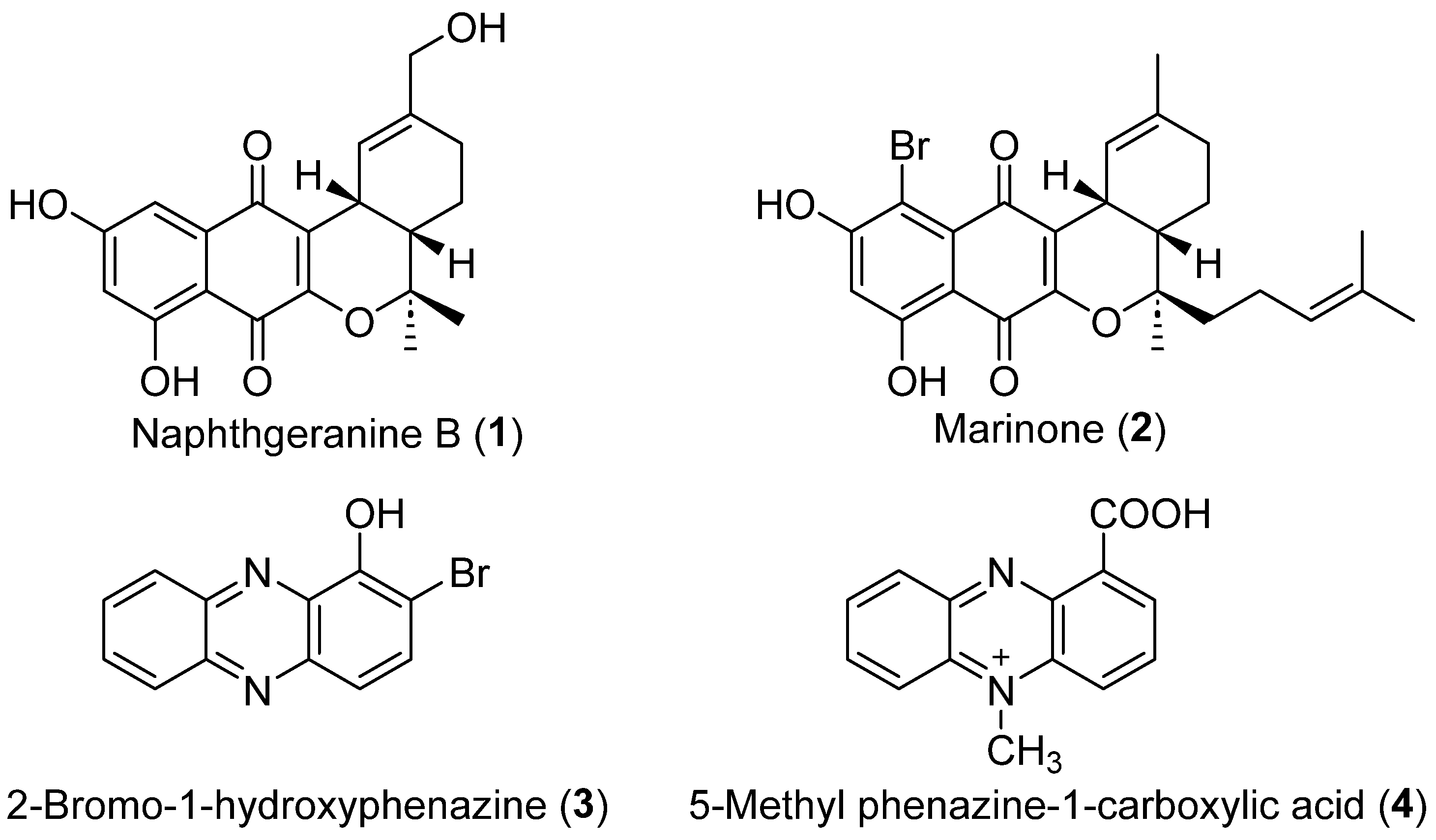 Molecules 29 03450 g001