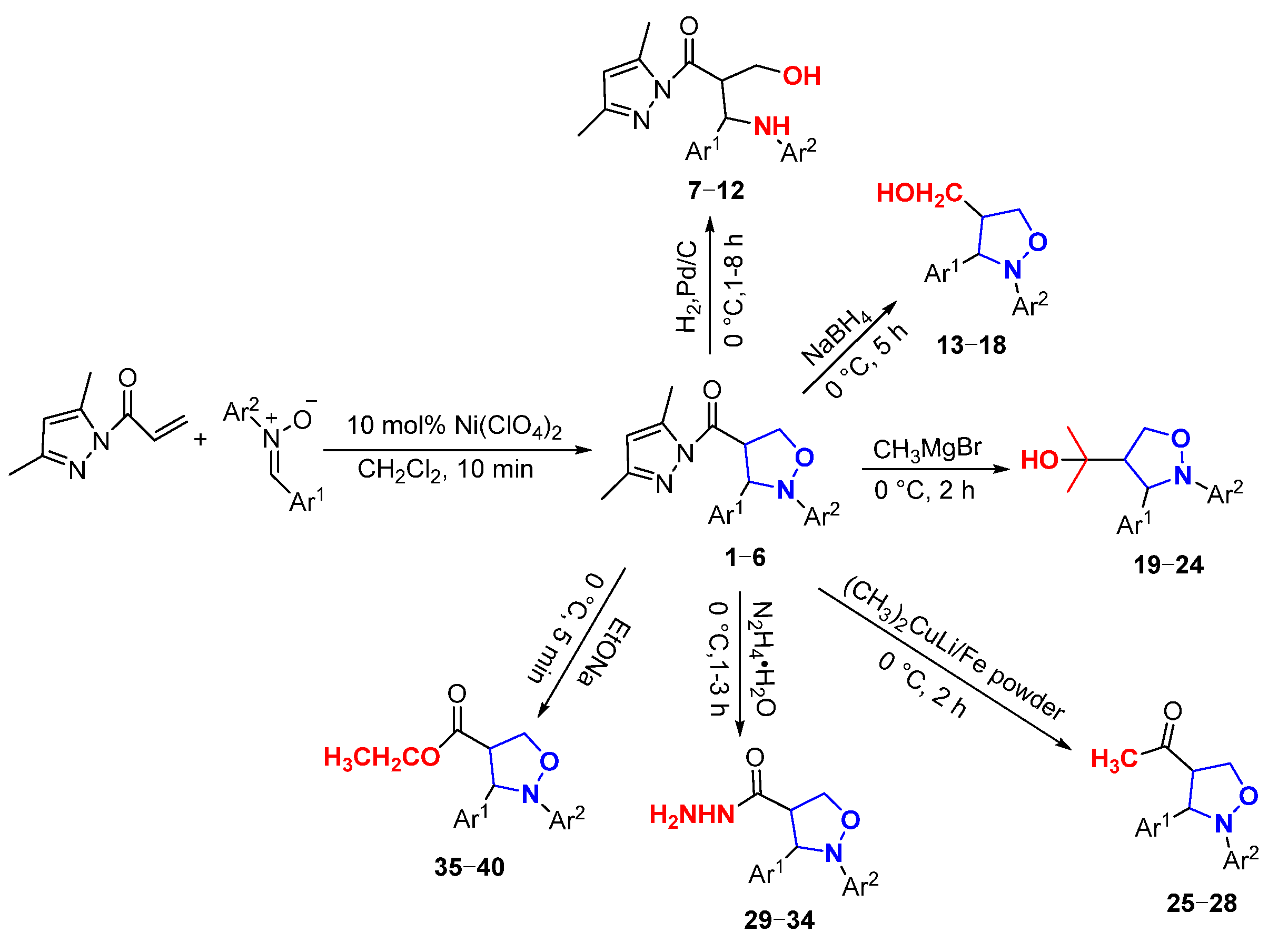 Molecules 29 03454 g002