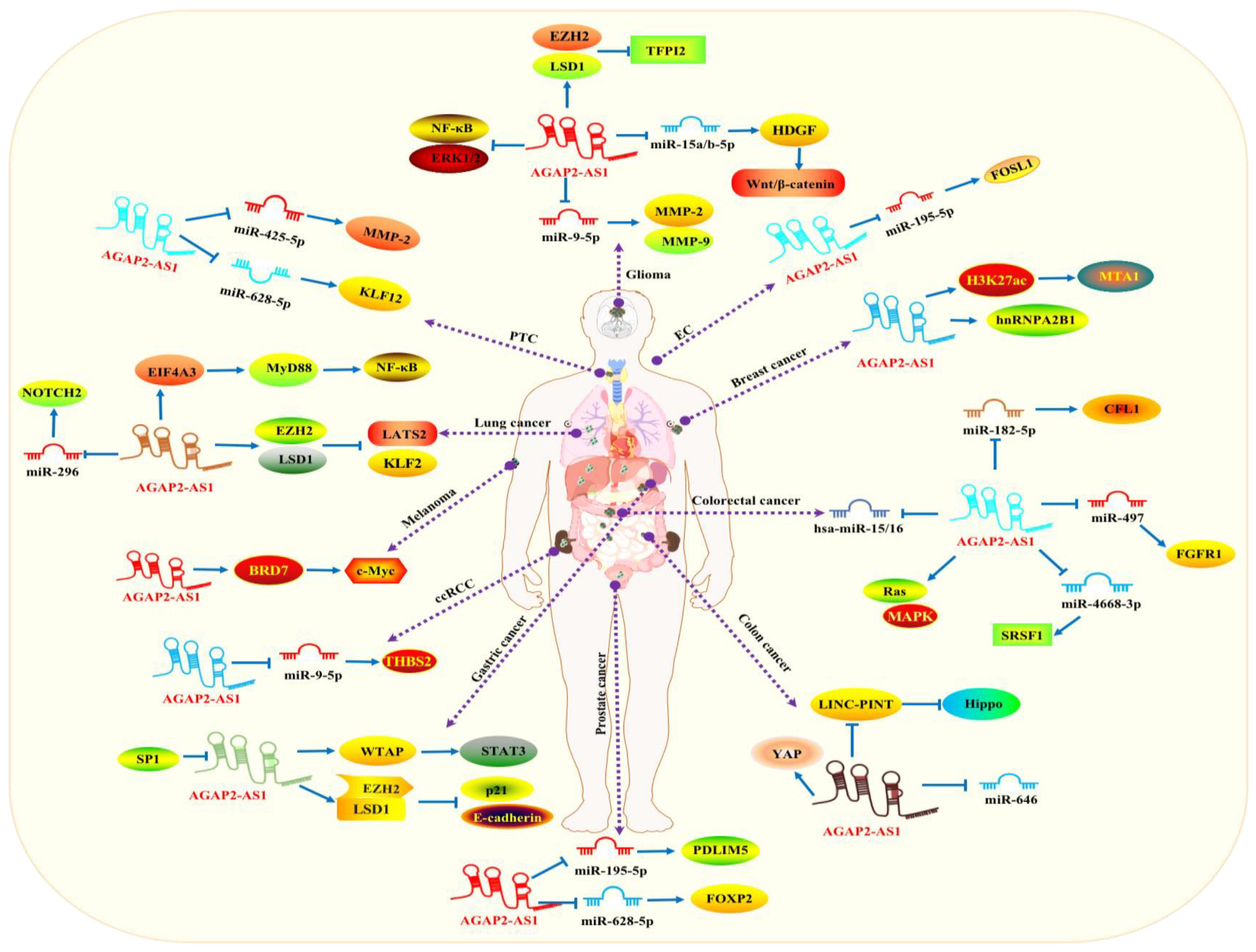 Molecules 29 03461 g002