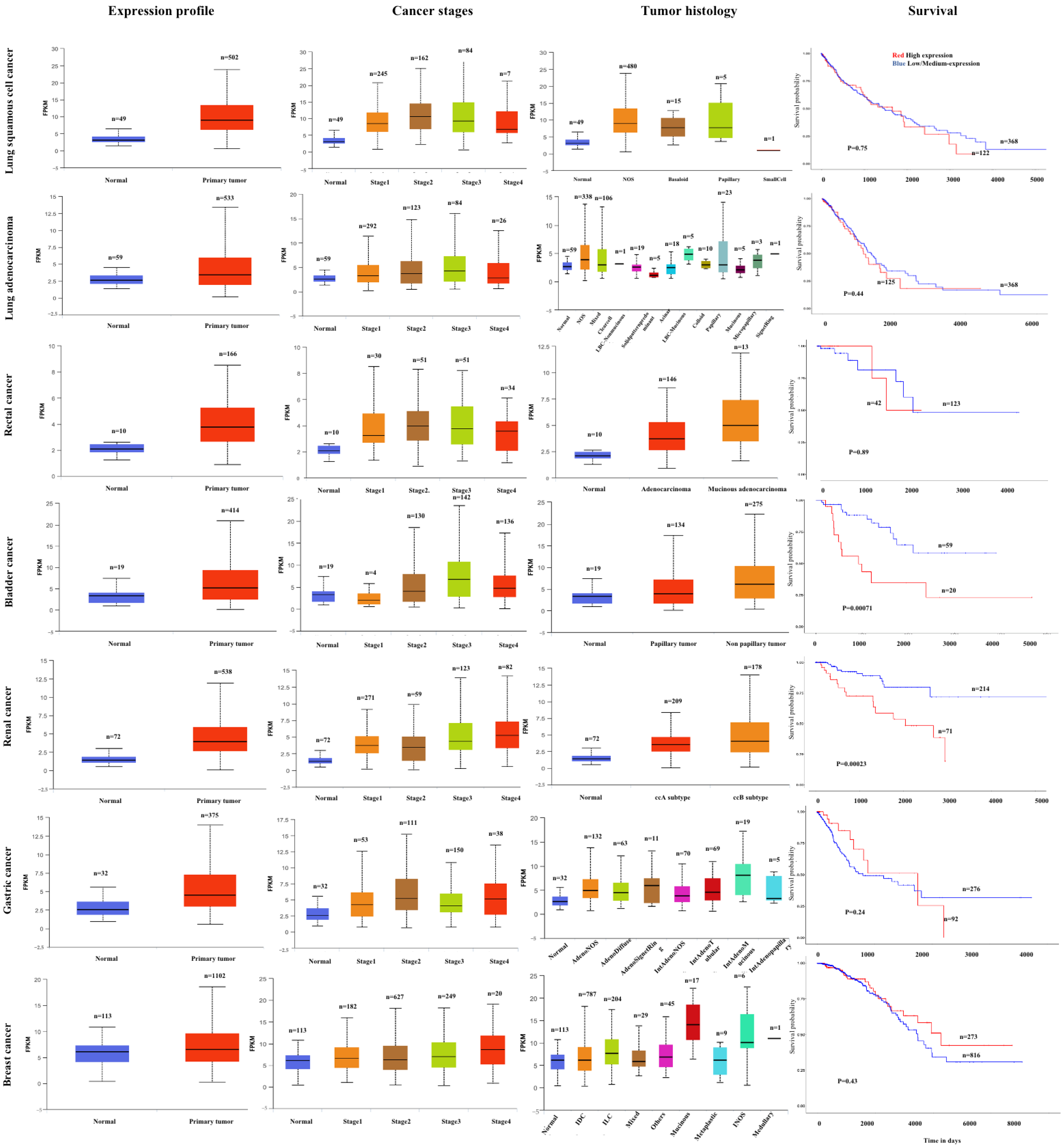Molecules 29 03461 g003