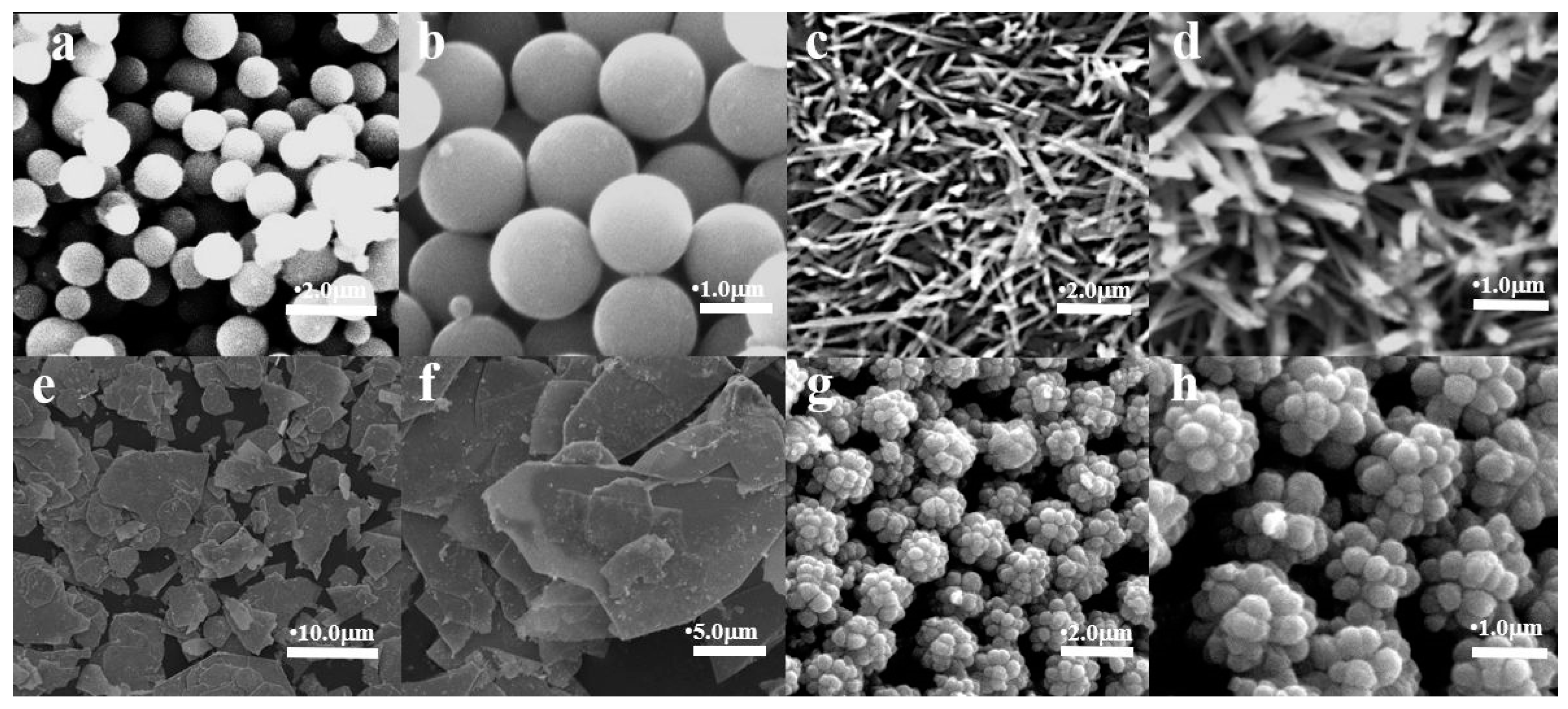 Molecules 29 03462 g001