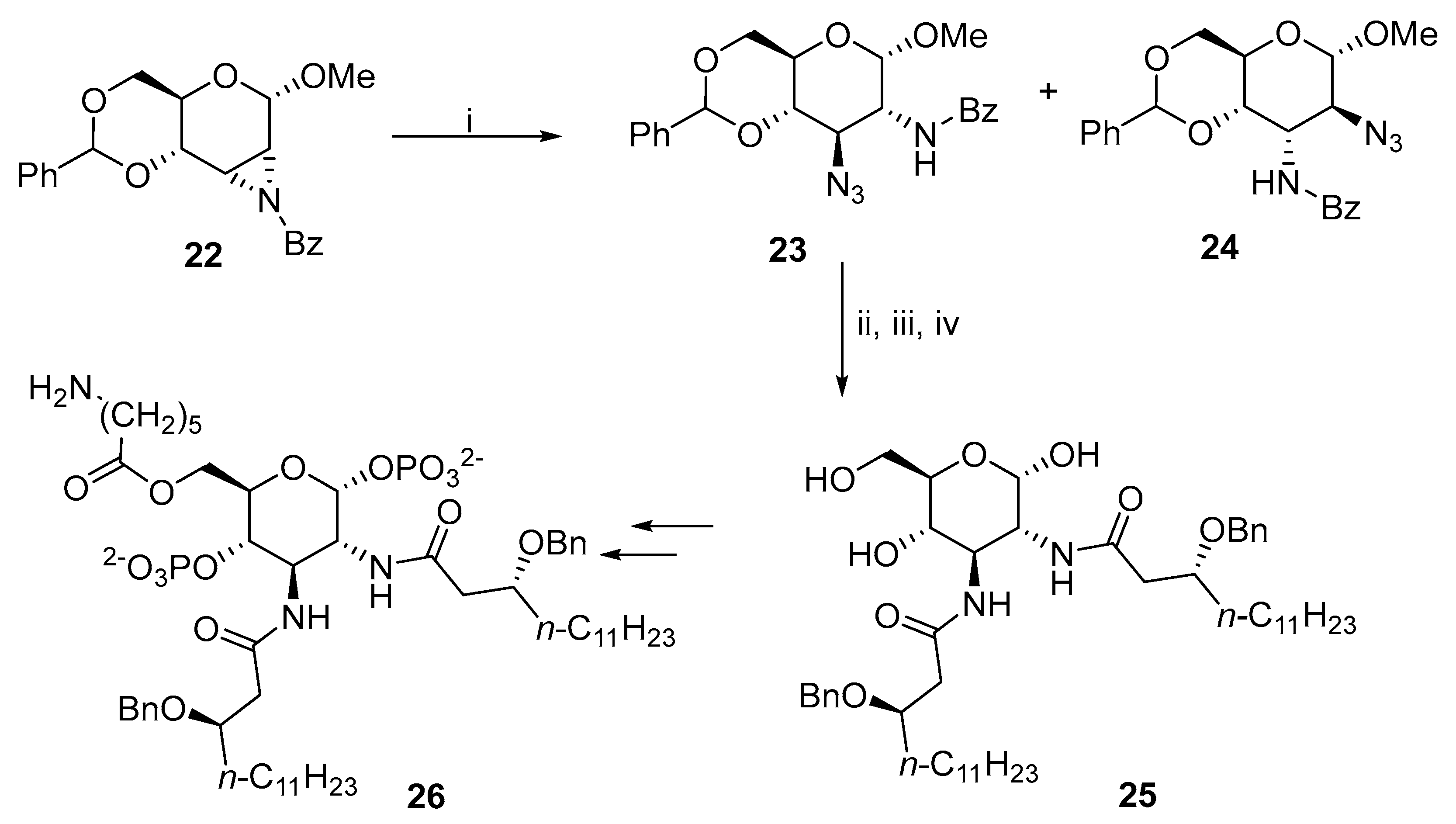 Molecules 29 03465 sch009 Molecules 29 03465 sch009