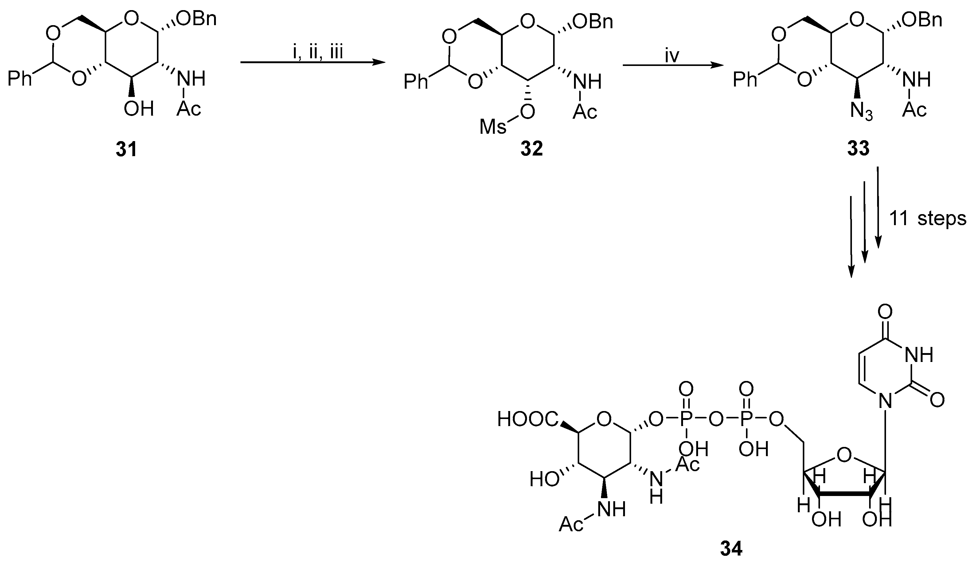 Molecules 29 03465 sch011 Molecules 29 03465 sch011