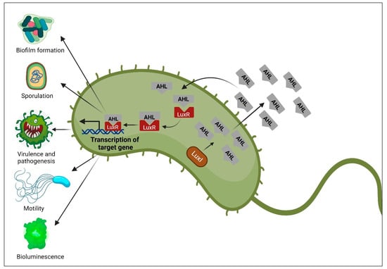 Molecules 29 03466 g001