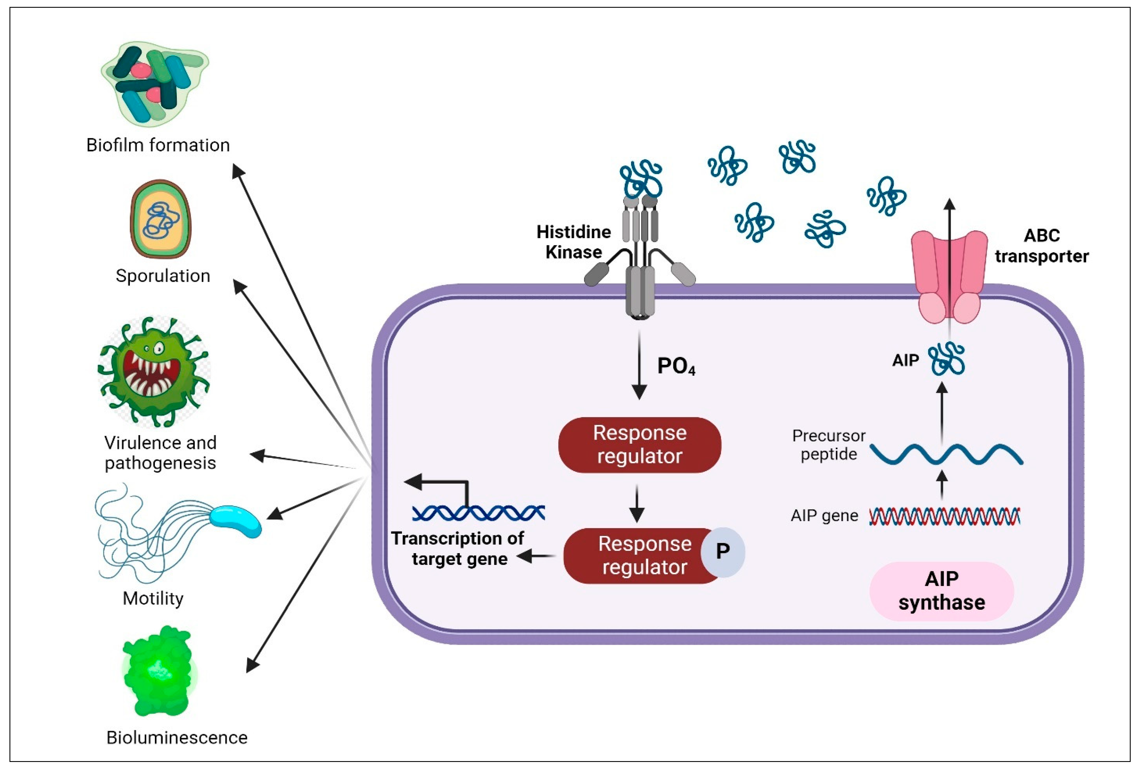 Molecules 29 03466 g002