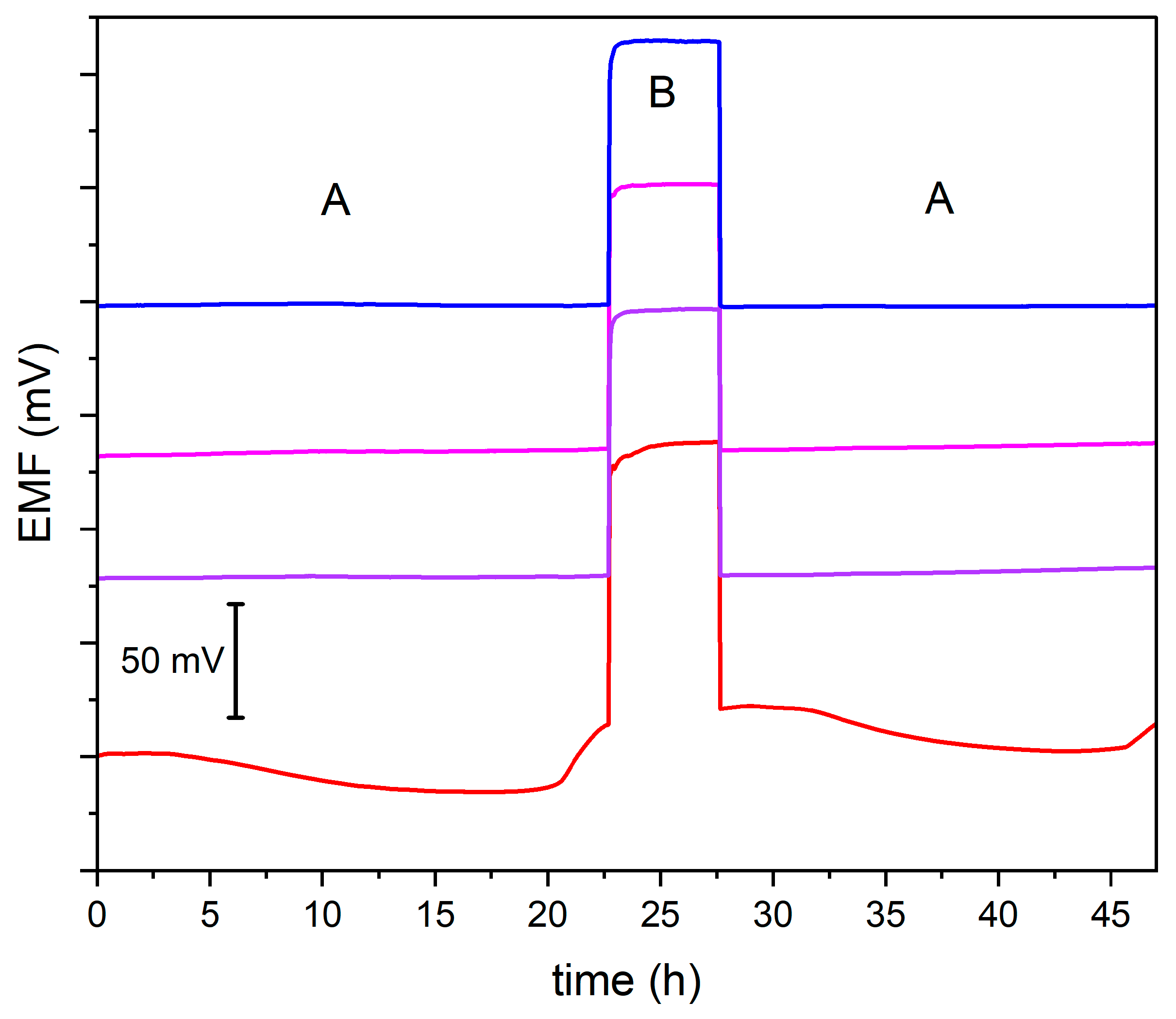Molecules 29 03473 g005