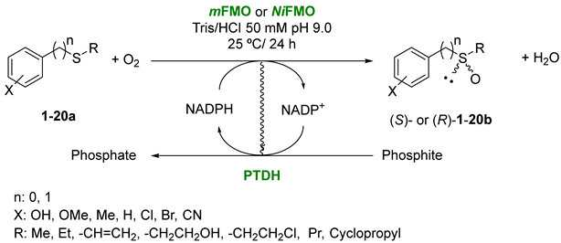 Molecules 29 03474 i001